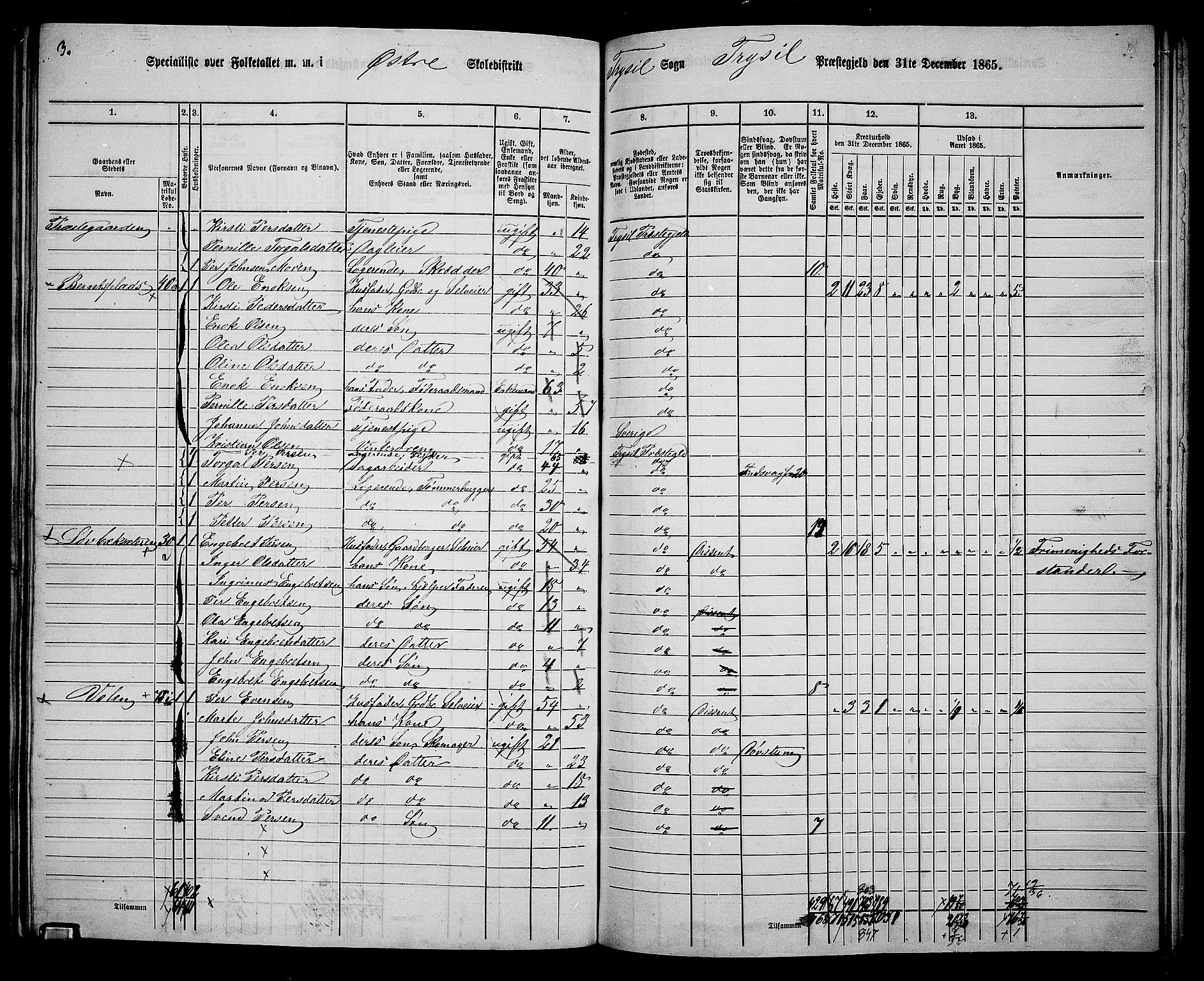 RA, 1865 census for Trysil, 1865, p. 143
