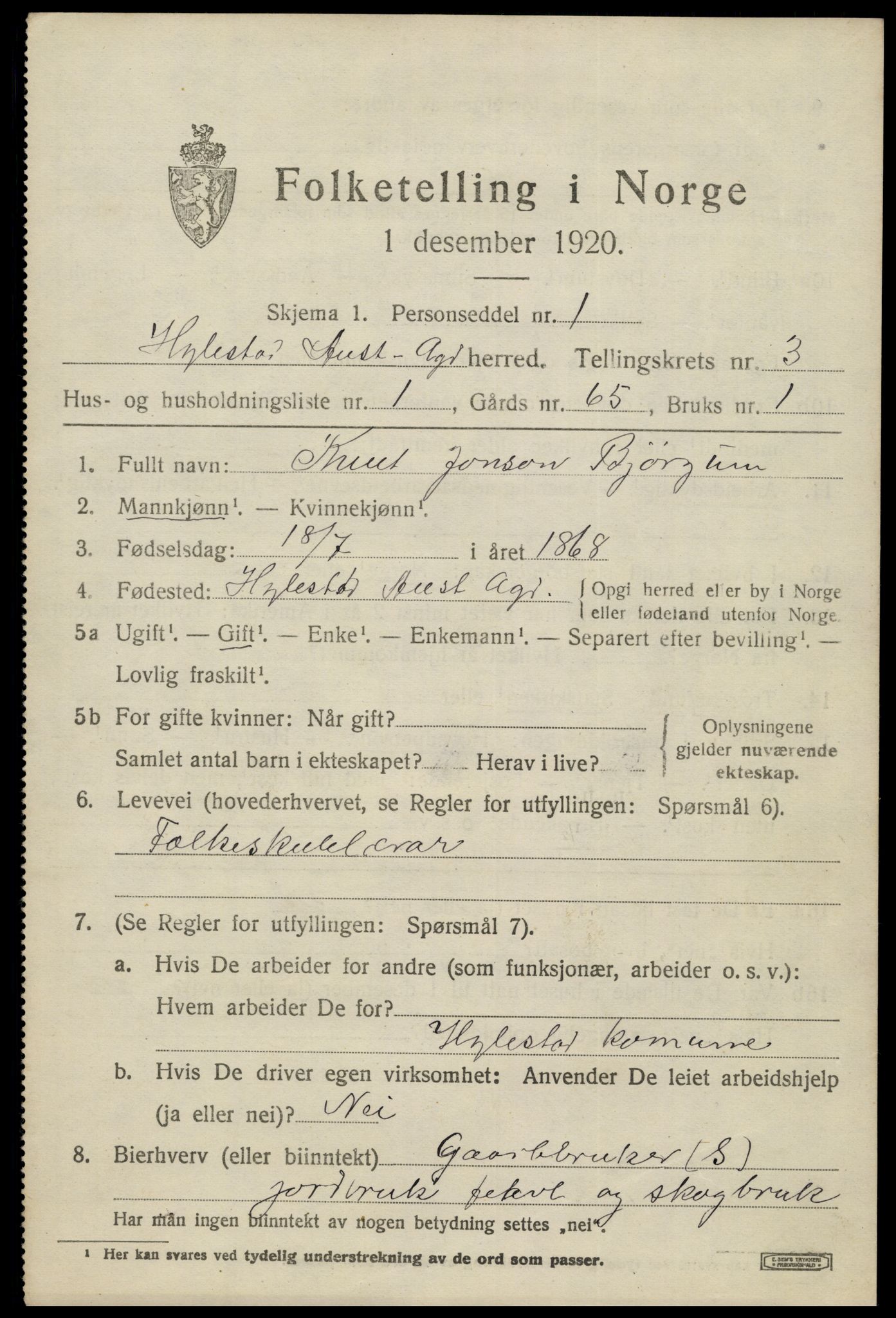 SAK, 1920 census for Hylestad, 1920, p. 764