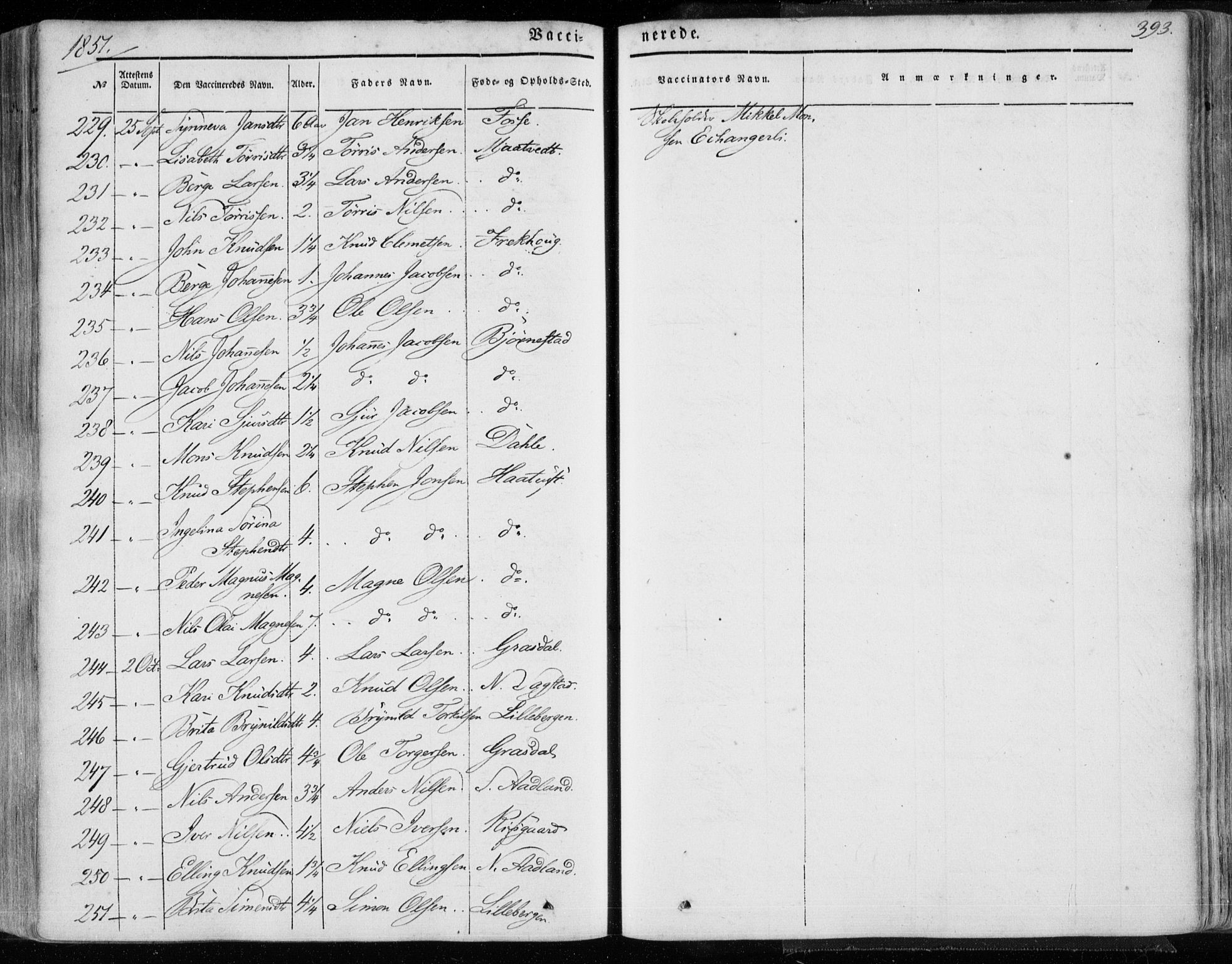 Hamre sokneprestembete, AV/SAB-A-75501/H/Ha/Haa/Haaa/L0013: Parish register (official) no. A 13, 1846-1857, p. 393