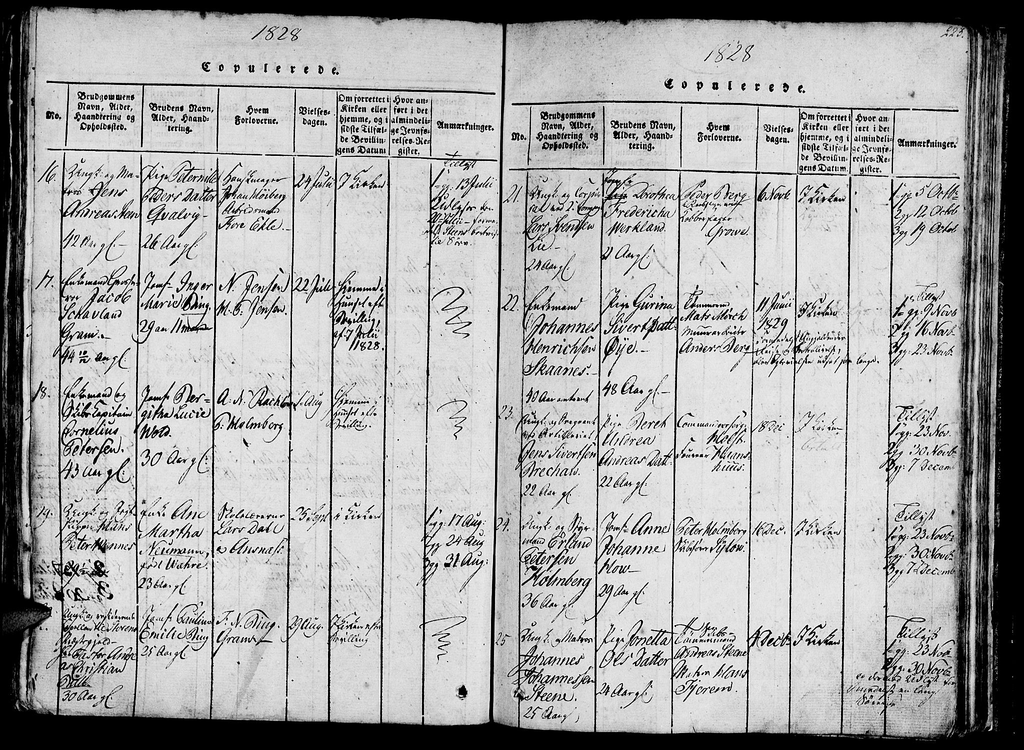 Ministerialprotokoller, klokkerbøker og fødselsregistre - Sør-Trøndelag, SAT/A-1456/602/L0135: Parish register (copy) no. 602C03, 1815-1832, p. 223