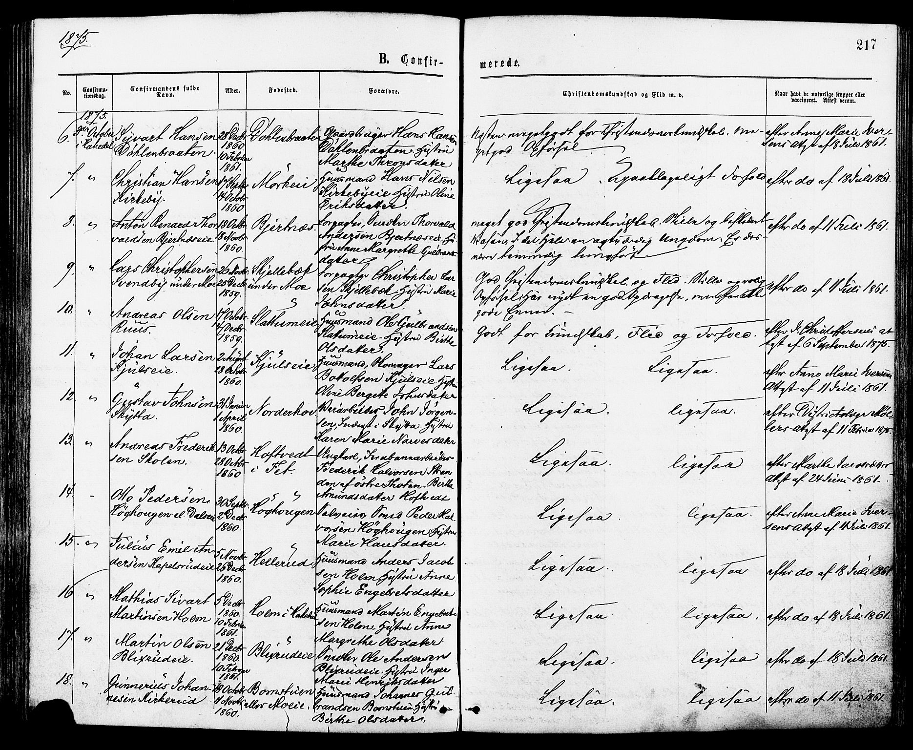 Nittedal prestekontor Kirkebøker, AV/SAO-A-10365a/F/Fa/L0006: Parish register (official) no. I 6, 1863-1878, p. 217