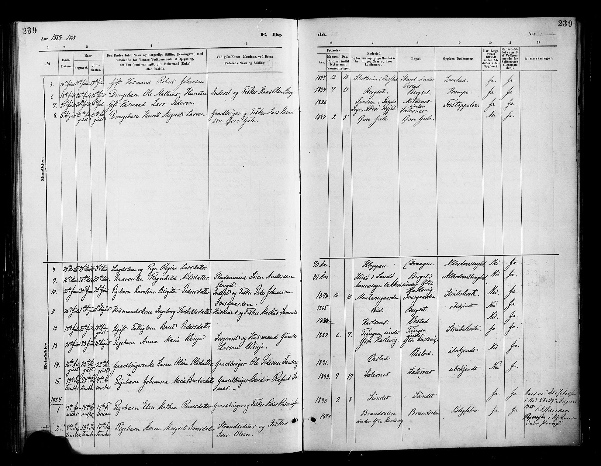 Ministerialprotokoller, klokkerbøker og fødselsregistre - Møre og Romsdal, SAT/A-1454/566/L0769: Parish register (official) no. 566A08, 1881-1903, p. 239