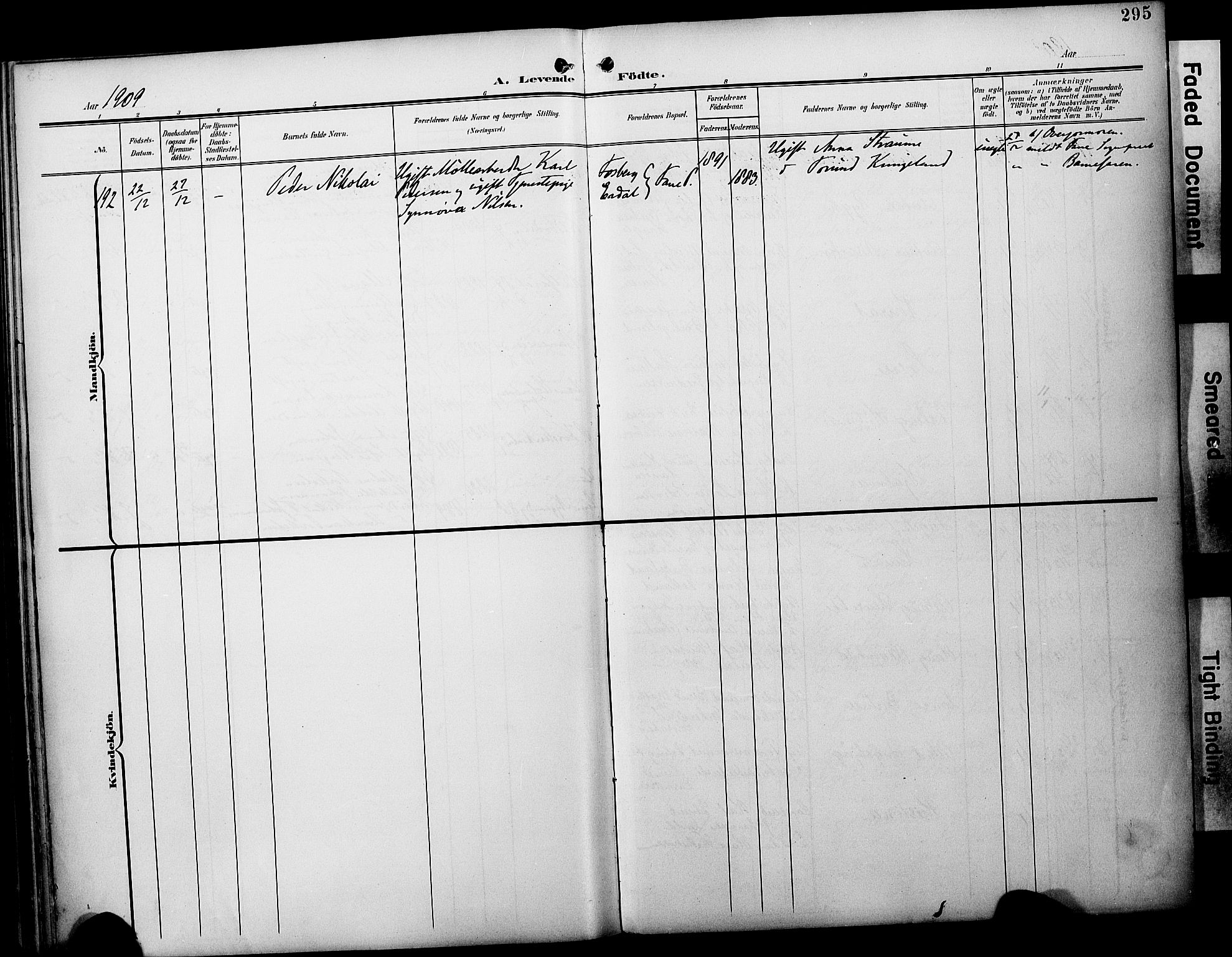 Fødselsstiftelsens sokneprestembete*, SAB/-: Parish register (official) no. A 3, 1901-1910, p. 295