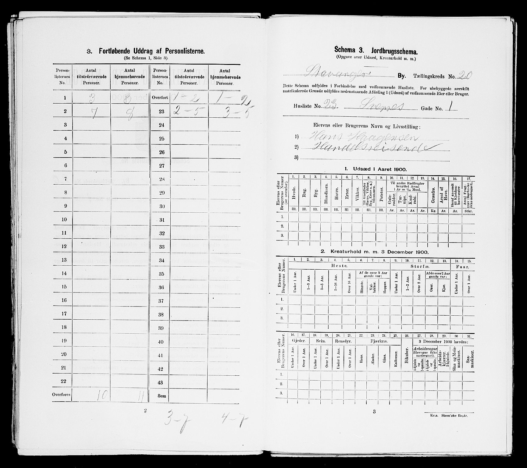 SAST, 1900 census for Stavanger, 1900, p. 7799