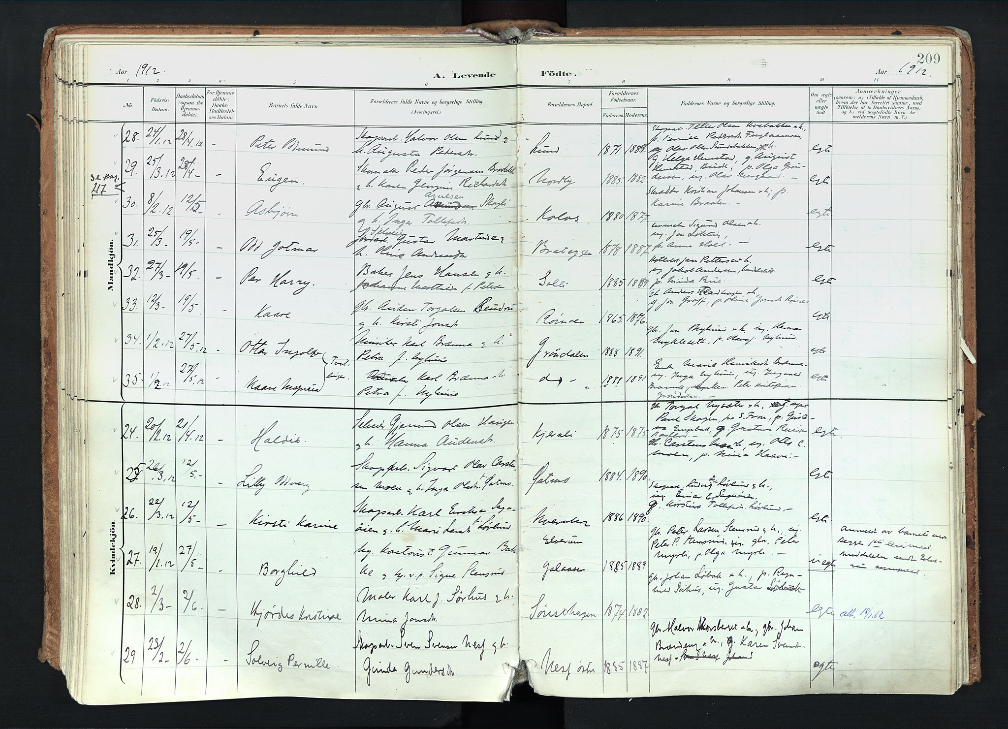 Trysil prestekontor, AV/SAH-PREST-046/H/Ha/Haa/L0012: Parish register (official) no. 12, 1898-1917, p. 209