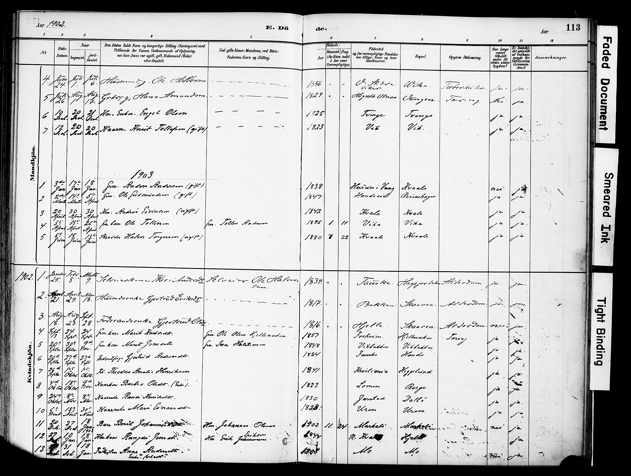 Vestre Slidre prestekontor, SAH/PREST-136/H/Ha/Haa/L0004: Parish register (official) no. 4, 1881-1911, p. 113