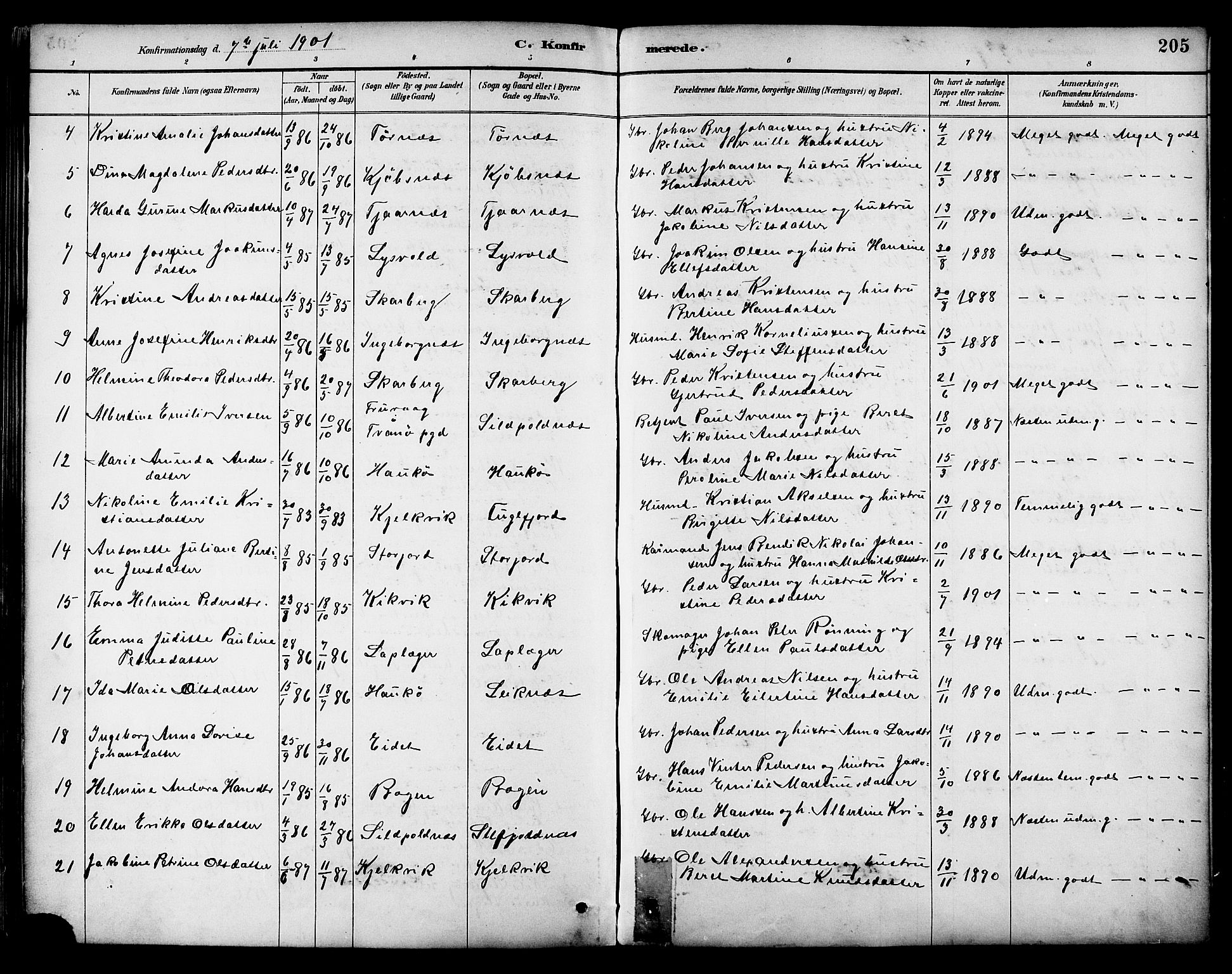 Ministerialprotokoller, klokkerbøker og fødselsregistre - Nordland, AV/SAT-A-1459/861/L0869: Parish register (official) no. 861A04, 1889-1903, p. 205