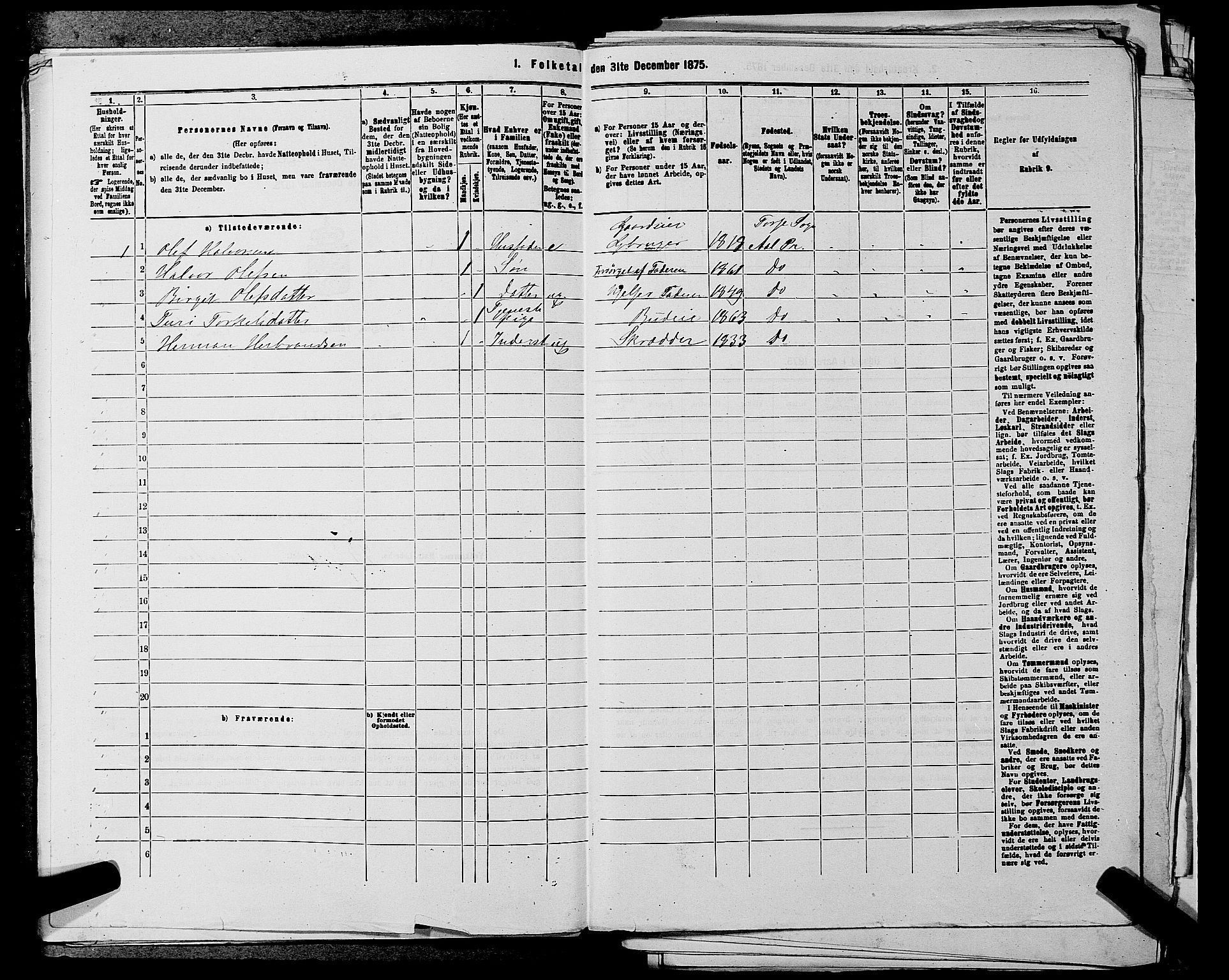 SAKO, 1875 census for 0619P Ål, 1875, p. 302