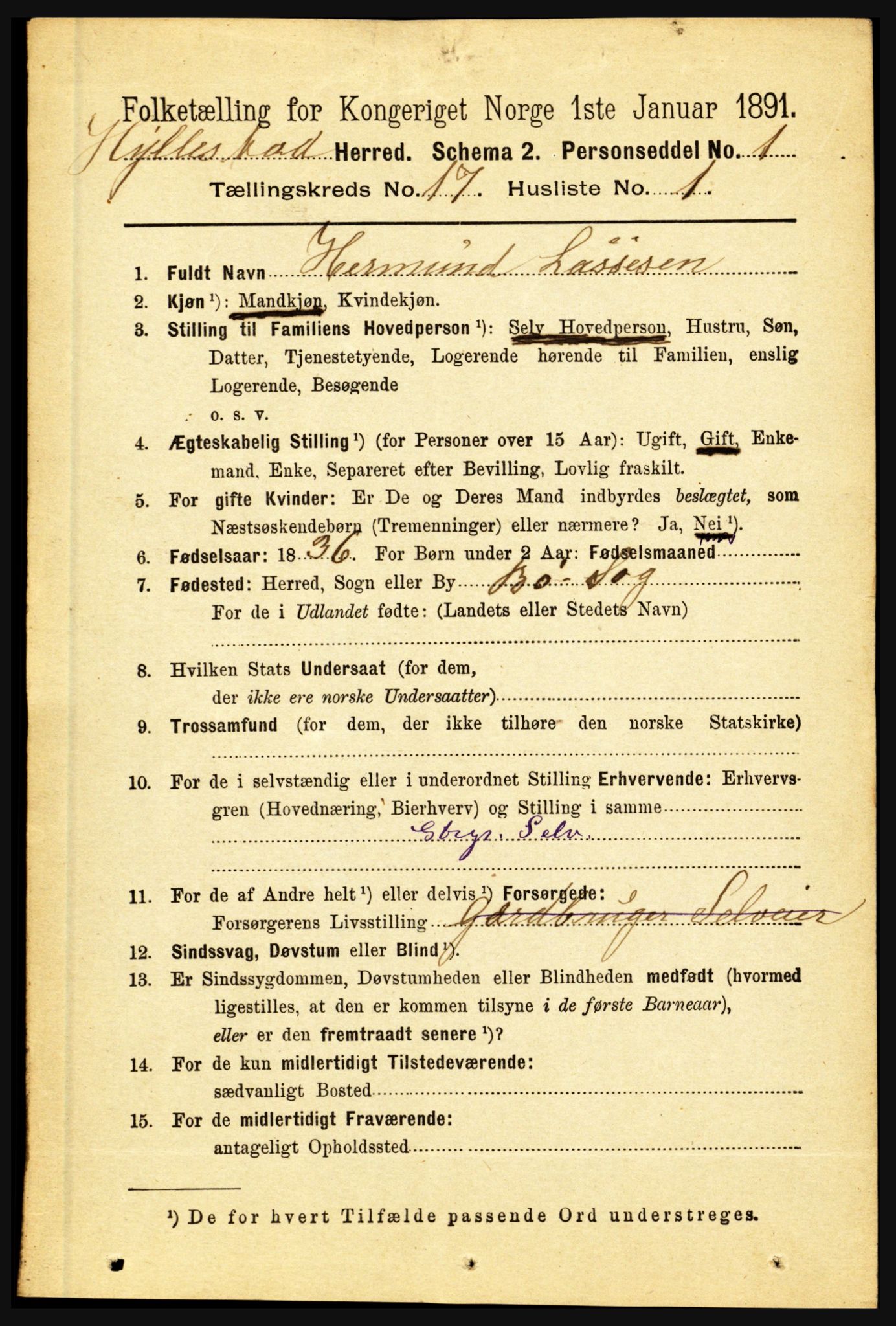 RA, 1891 census for 1413 Hyllestad, 1891, p. 3009