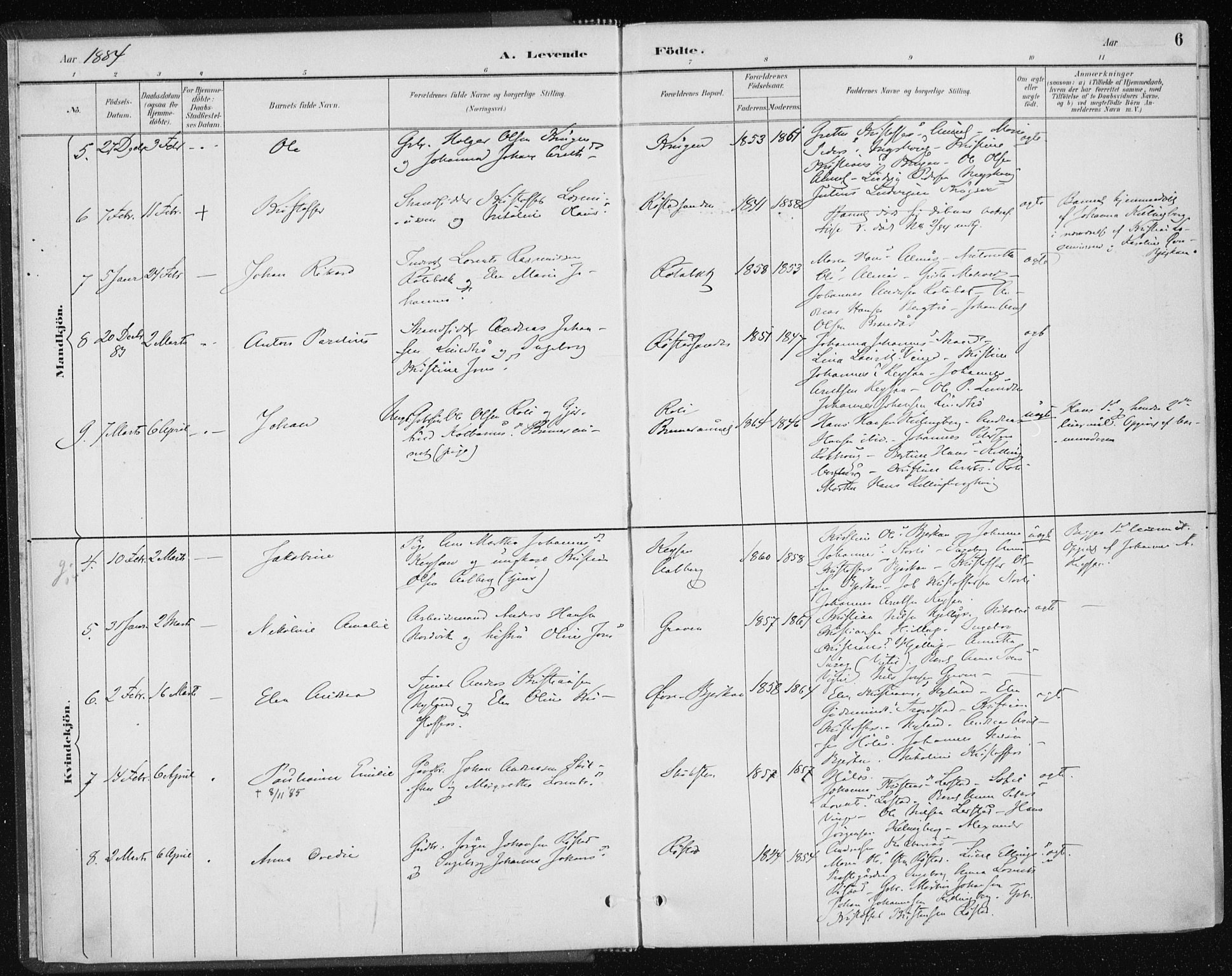 Ministerialprotokoller, klokkerbøker og fødselsregistre - Nord-Trøndelag, SAT/A-1458/701/L0010: Parish register (official) no. 701A10, 1883-1899, p. 6