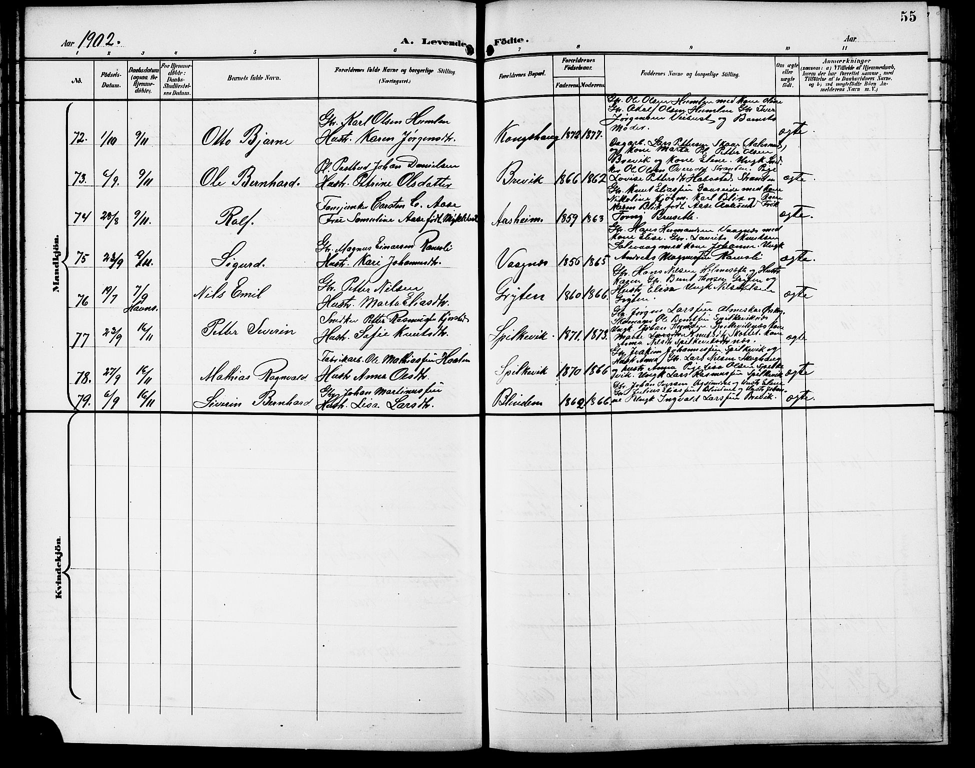 Ministerialprotokoller, klokkerbøker og fødselsregistre - Møre og Romsdal, AV/SAT-A-1454/528/L0432: Parish register (copy) no. 528C13, 1898-1918, p. 55