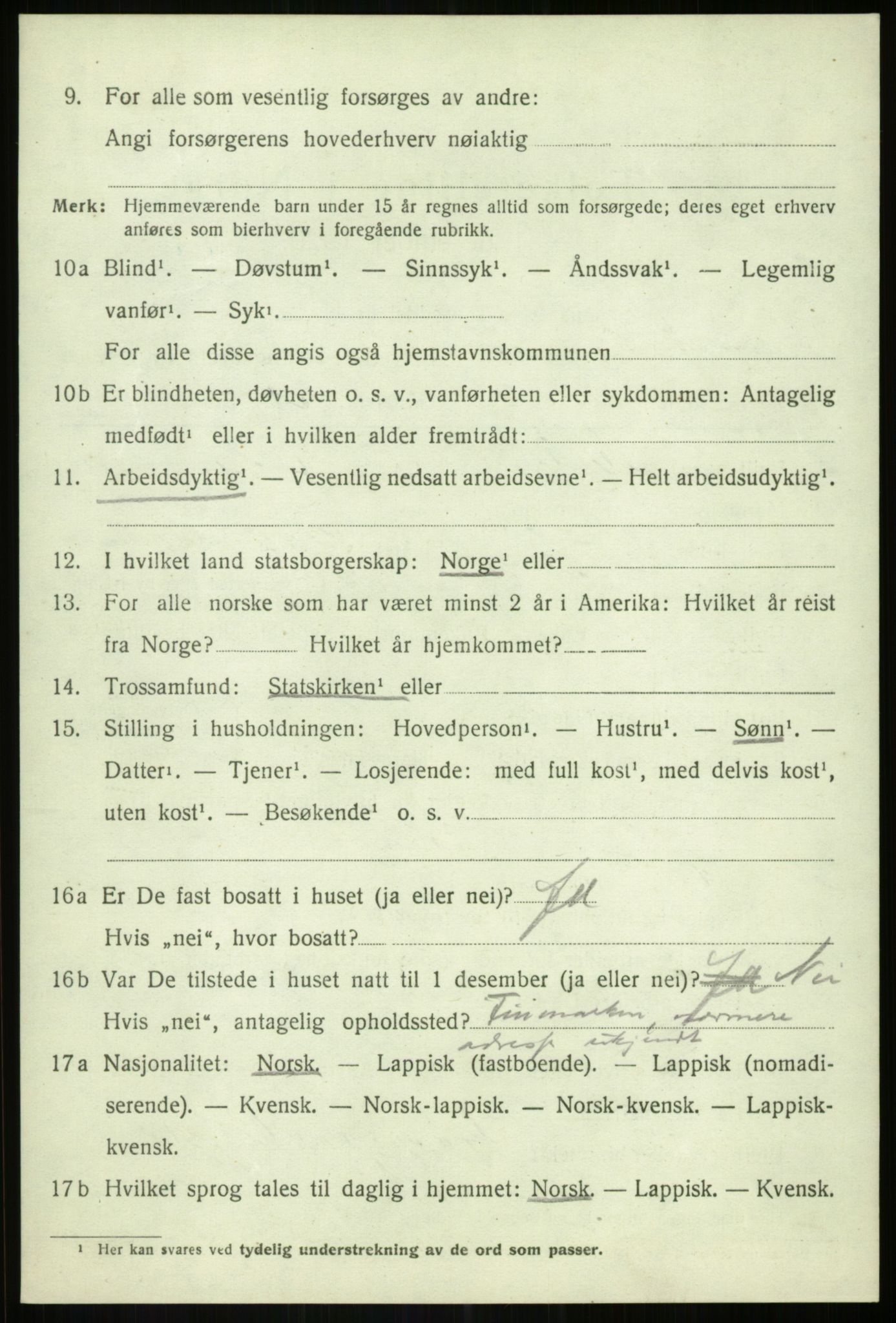 SATØ, 1920 census for Lenvik, 1920, p. 10691