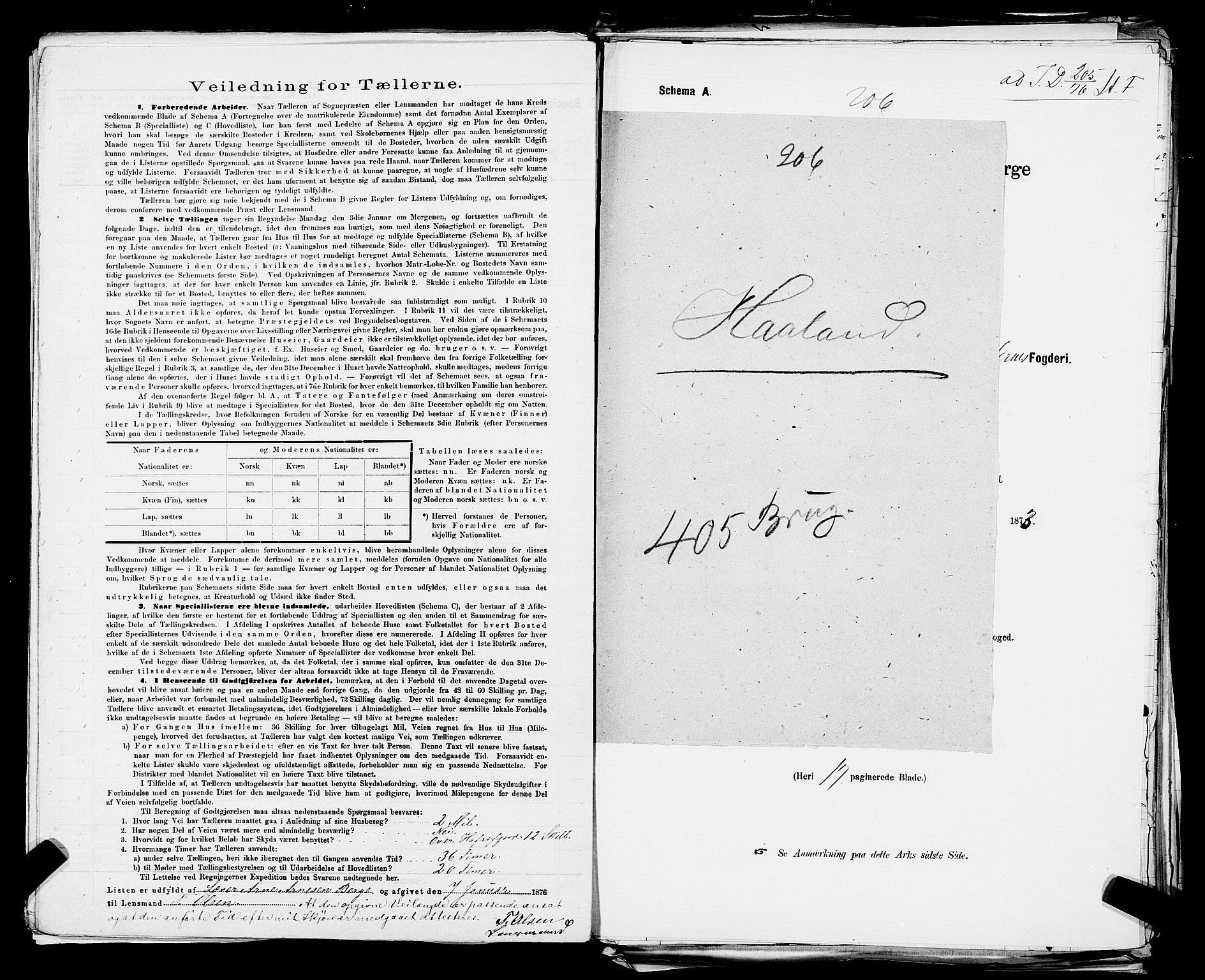 SAST, 1875 census for 1124P Håland, 1875, p. 29