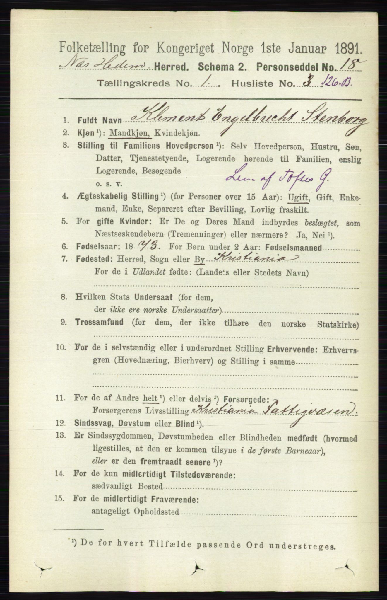 RA, 1891 census for 0411 Nes, 1891, p. 925