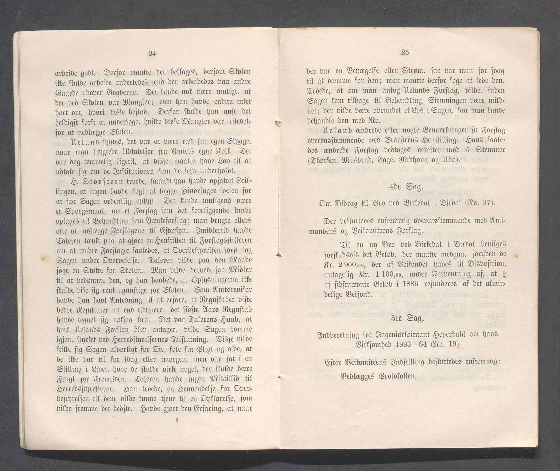 Rogaland fylkeskommune - Fylkesrådmannen , IKAR/A-900/A, 1884, p. 13