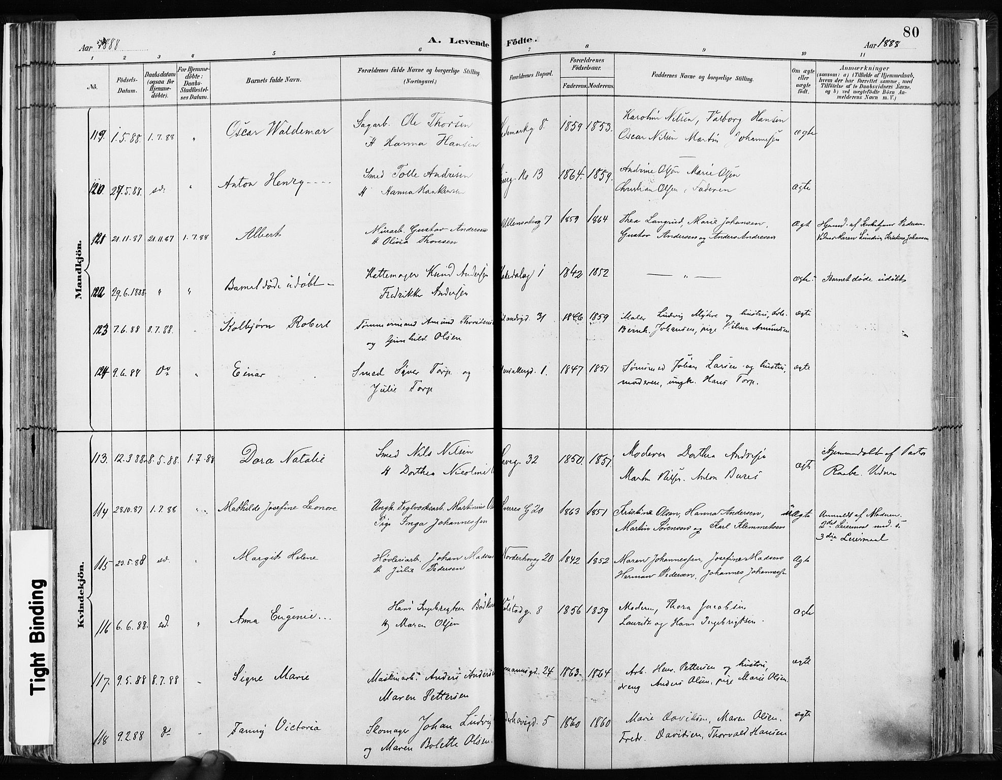 Kampen prestekontor Kirkebøker, AV/SAO-A-10853/F/Fa/L0003: Parish register (official) no. I 3, 1886-1892, p. 80