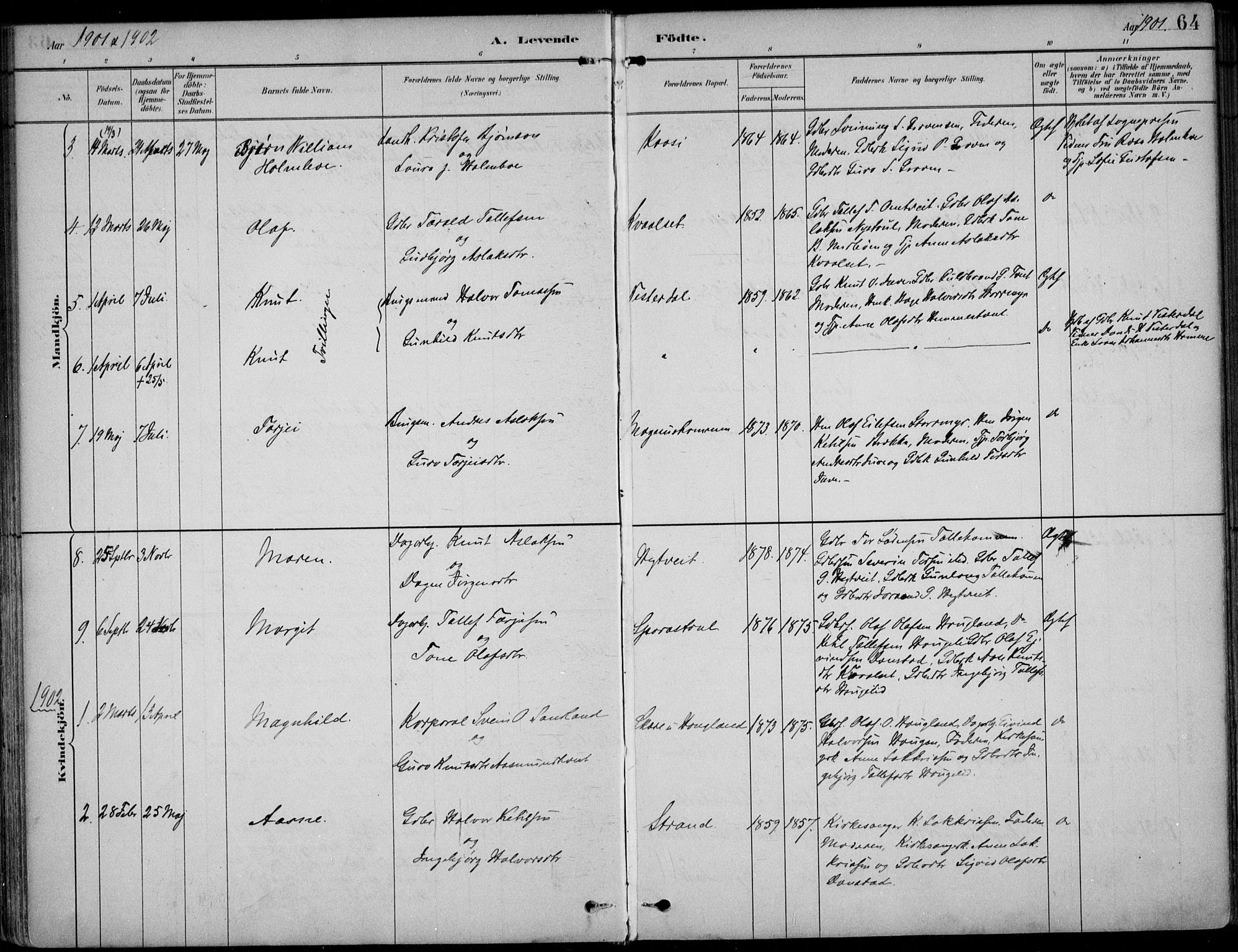 Kviteseid kirkebøker, AV/SAKO-A-276/F/Fb/L0002: Parish register (official) no. II 2, 1882-1916, p. 64