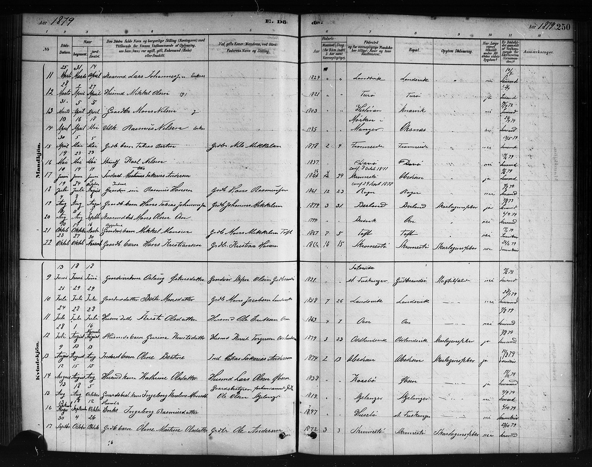 Herdla Sokneprestembete, SAB/A-75701/H/Haa: Parish register (official) no. A 3, 1878-1890, p. 250