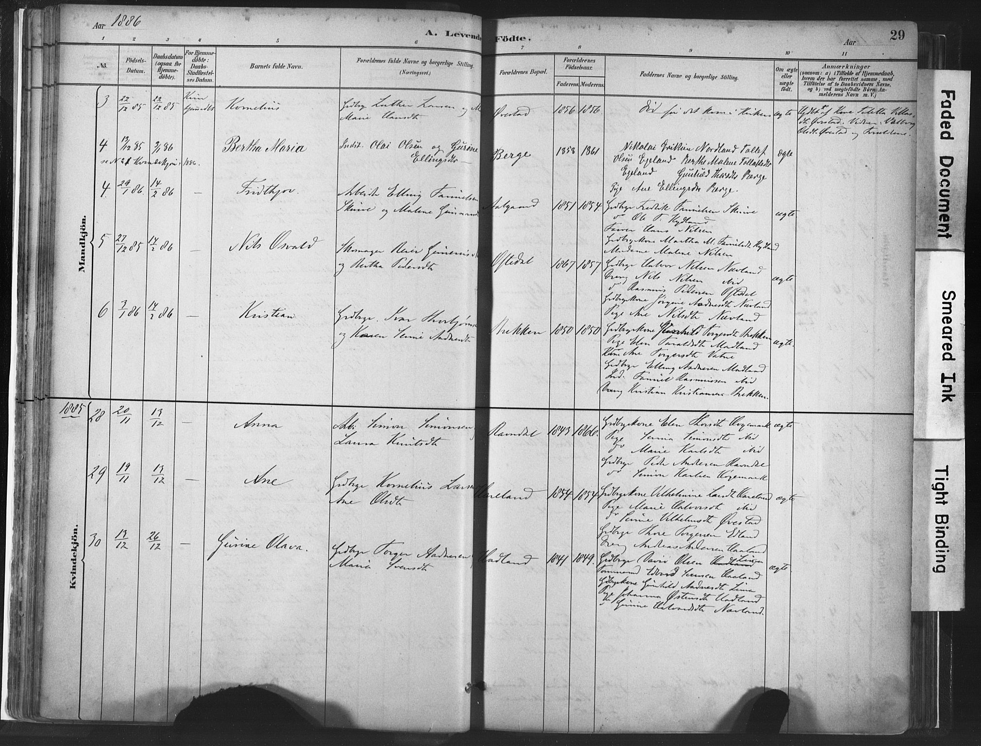 Lye sokneprestkontor, AV/SAST-A-101794/001/30BA/L0010: Parish register (official) no. A 10, 1881-1896, p. 29