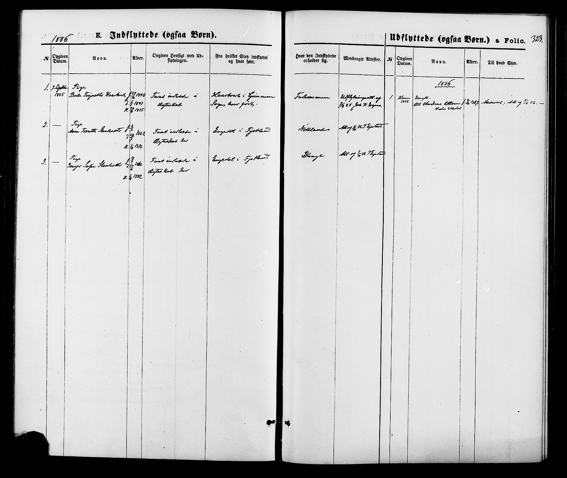 Hægebostad sokneprestkontor, SAK/1111-0024/F/Fa/Fab/L0003: Parish register (official) no. A 3, 1872-1886, p. 323