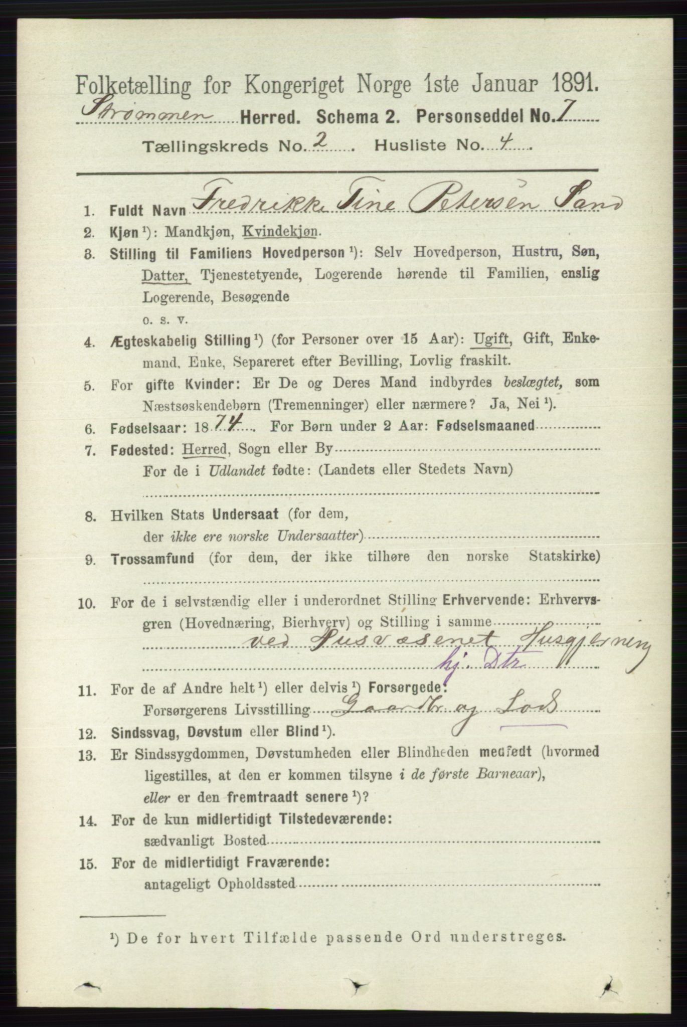 RA, 1891 census for 0711 Strømm, 1891, p. 719