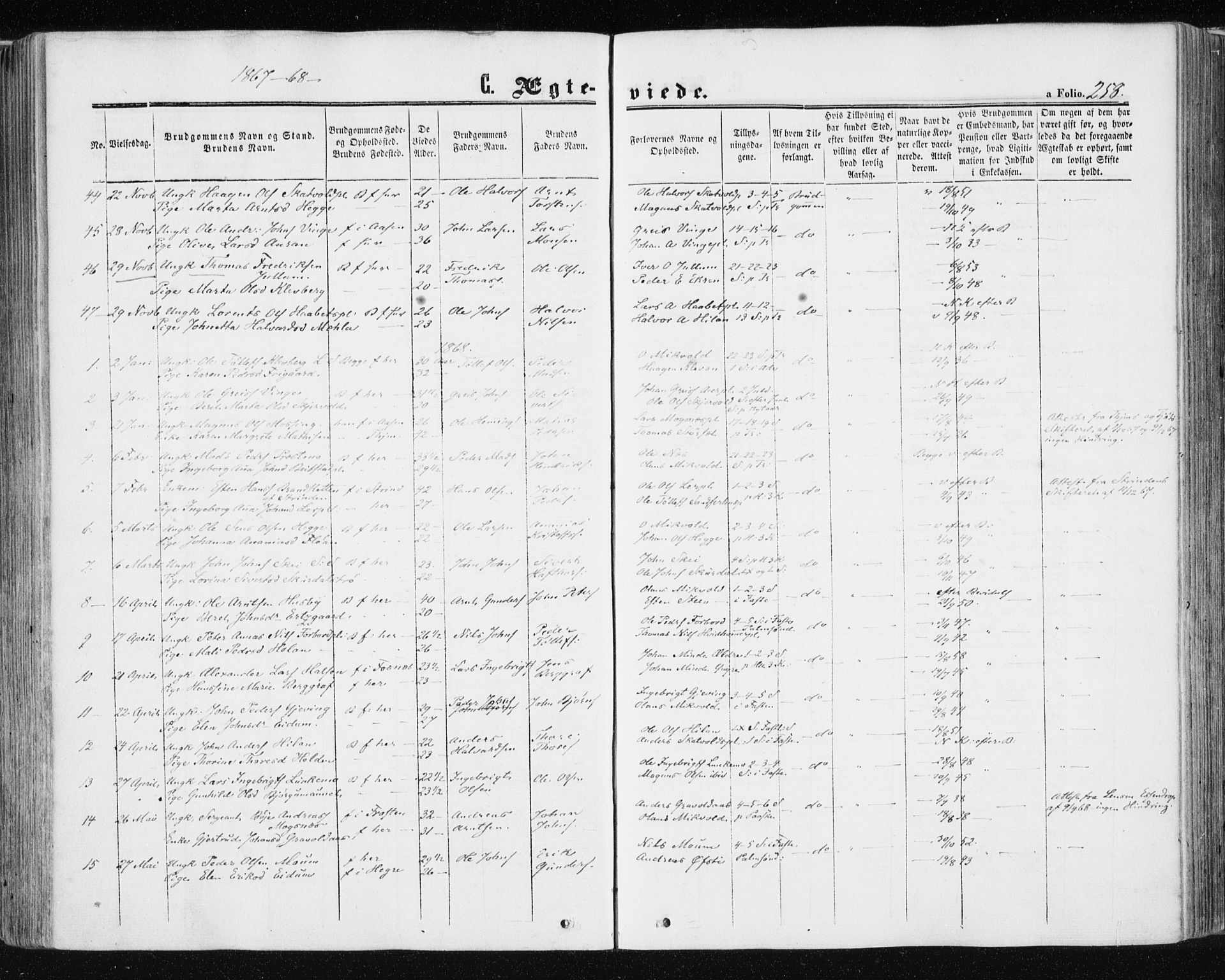 Ministerialprotokoller, klokkerbøker og fødselsregistre - Nord-Trøndelag, AV/SAT-A-1458/709/L0075: Parish register (official) no. 709A15, 1859-1870, p. 258