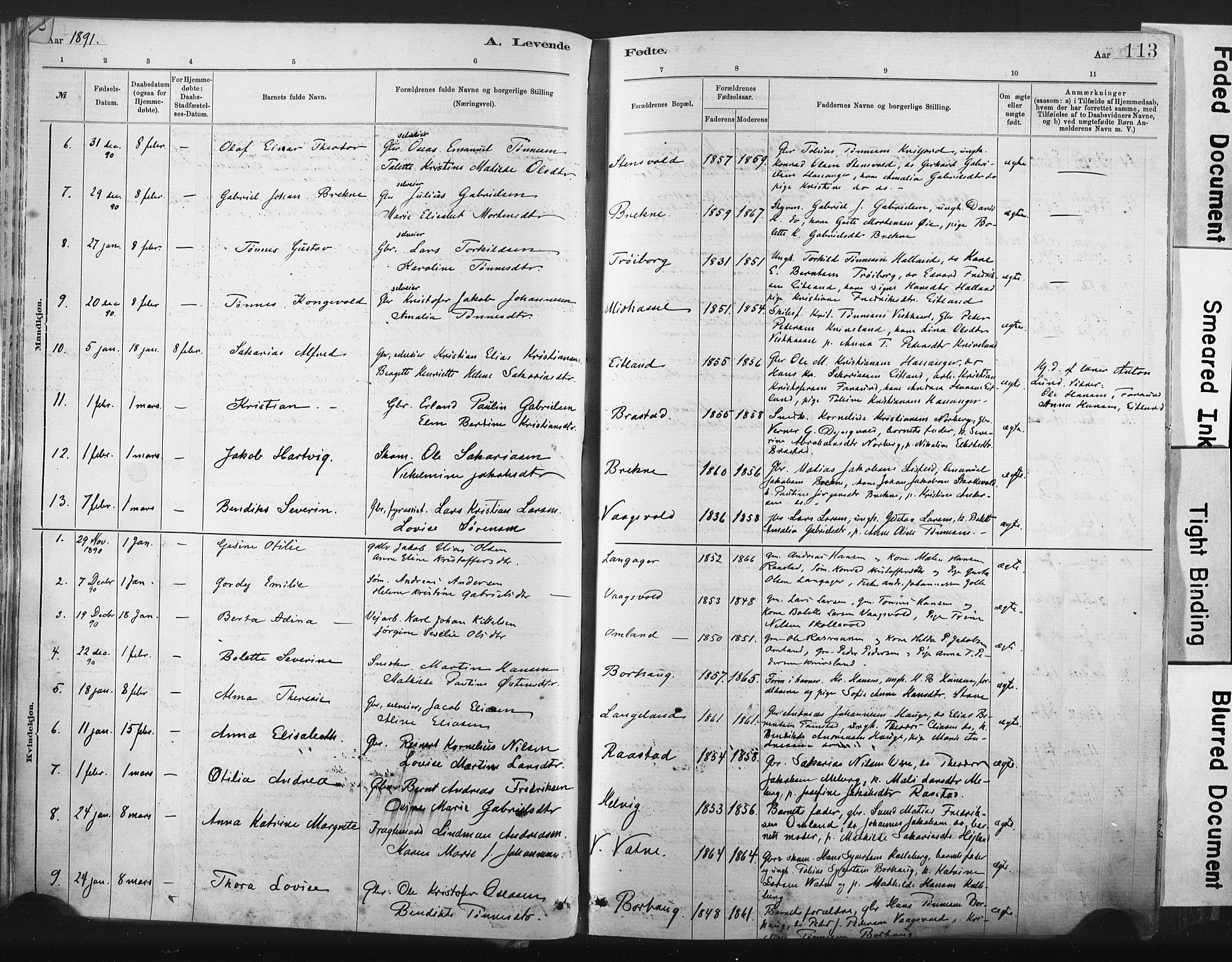 Lista sokneprestkontor, AV/SAK-1111-0027/F/Fa/L0012: Parish register (official) no. A 12, 1879-1903, p. 113