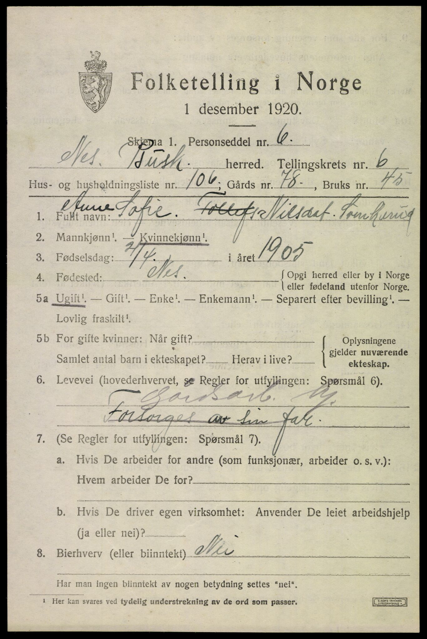 SAKO, 1920 census for Nes (Buskerud), 1920, p. 4346