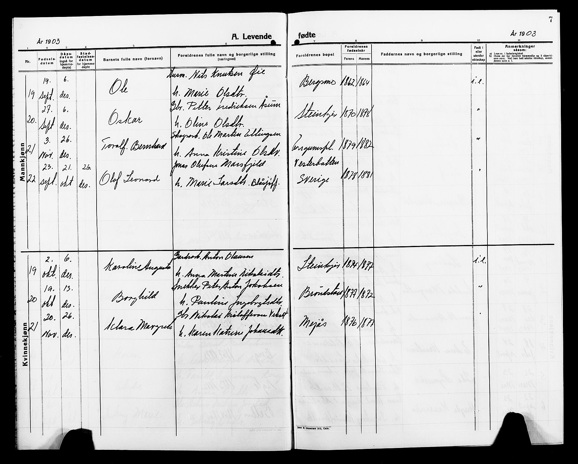 Ministerialprotokoller, klokkerbøker og fødselsregistre - Nord-Trøndelag, SAT/A-1458/749/L0488: Parish register (official) no. 749D04, 1903-1915, p. 7