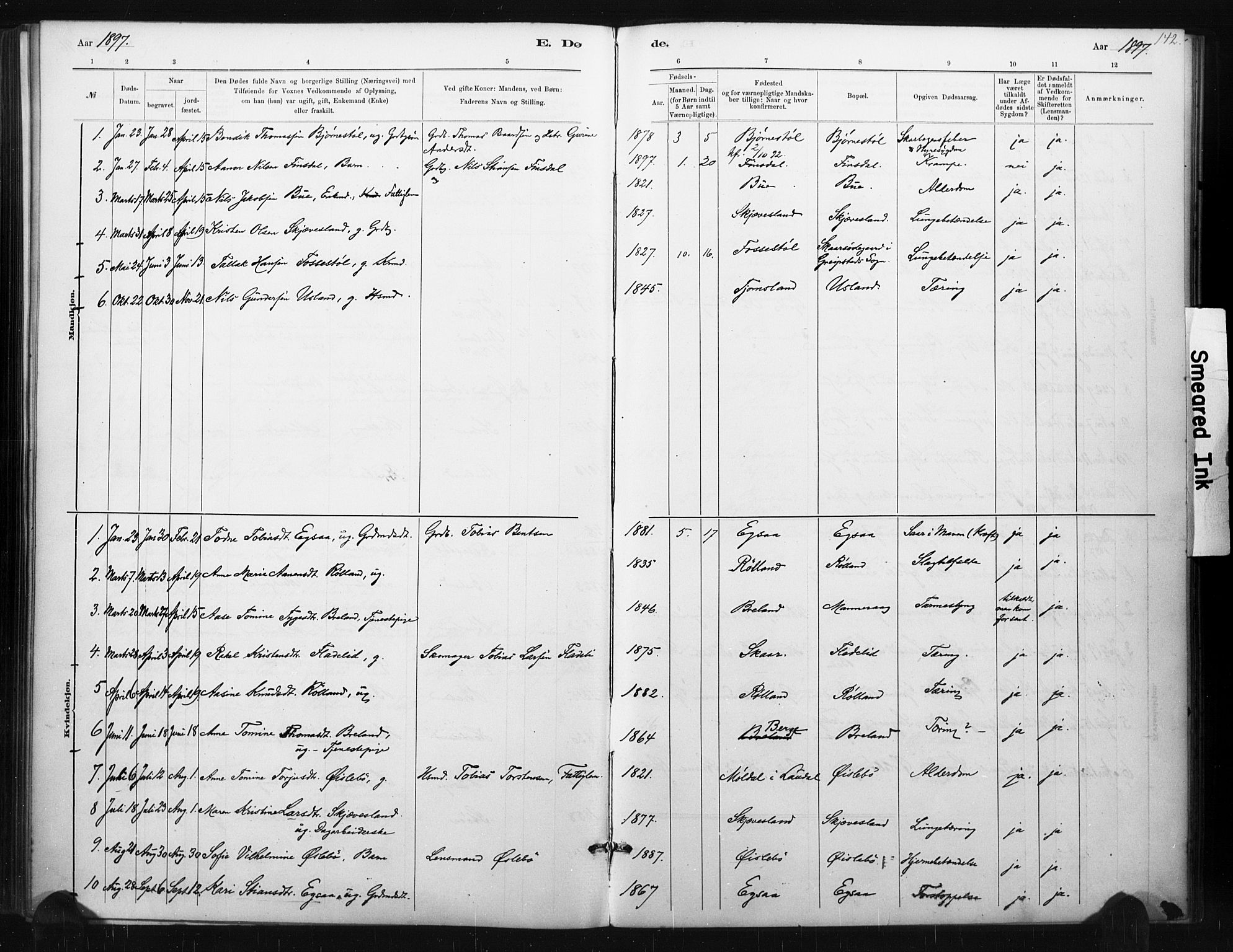 Holum sokneprestkontor, AV/SAK-1111-0022/F/Fa/Fac/L0004: Parish register (official) no. A 4, 1884-1907, p. 142