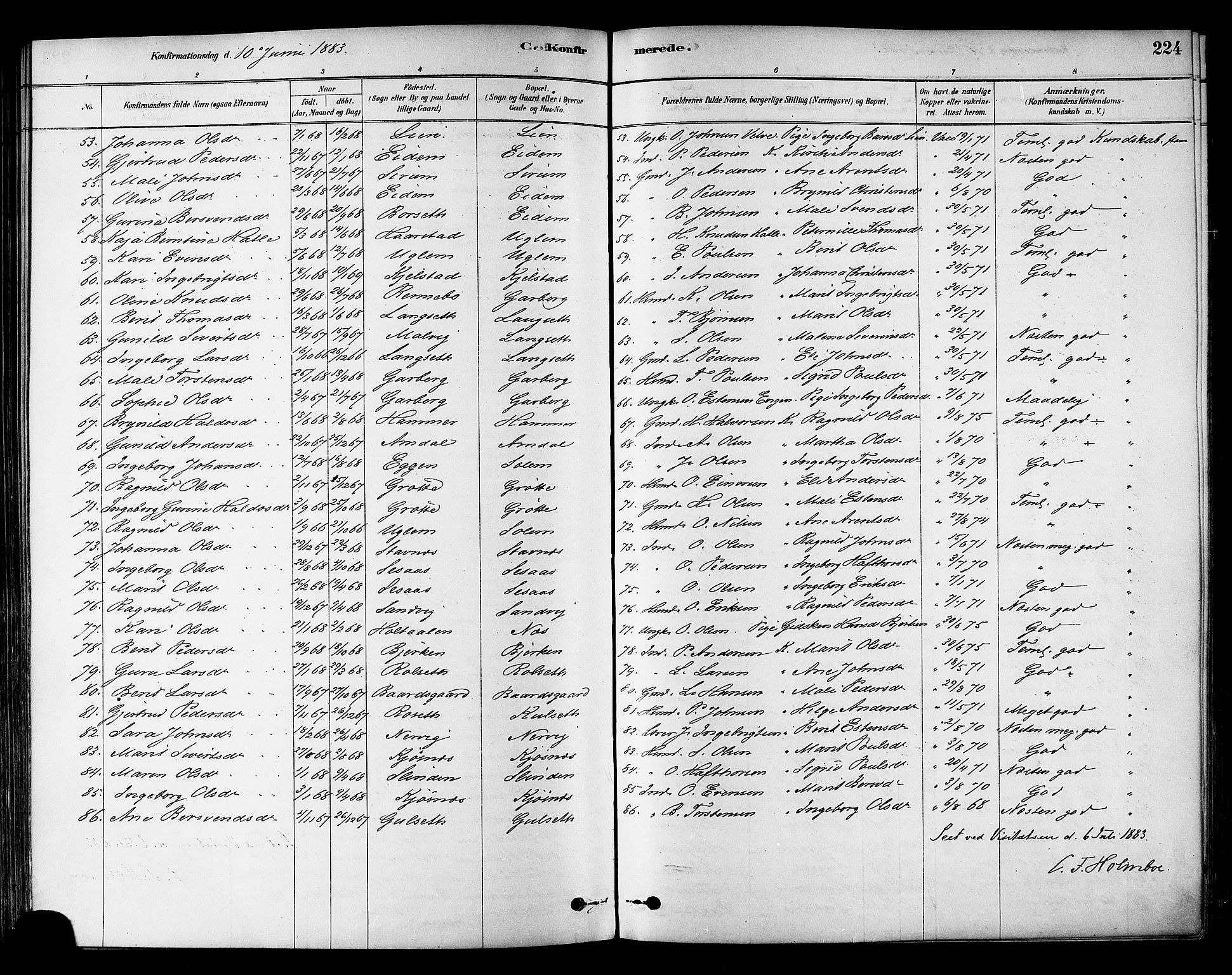 Ministerialprotokoller, klokkerbøker og fødselsregistre - Sør-Trøndelag, SAT/A-1456/695/L1148: Parish register (official) no. 695A08, 1878-1891, p. 224