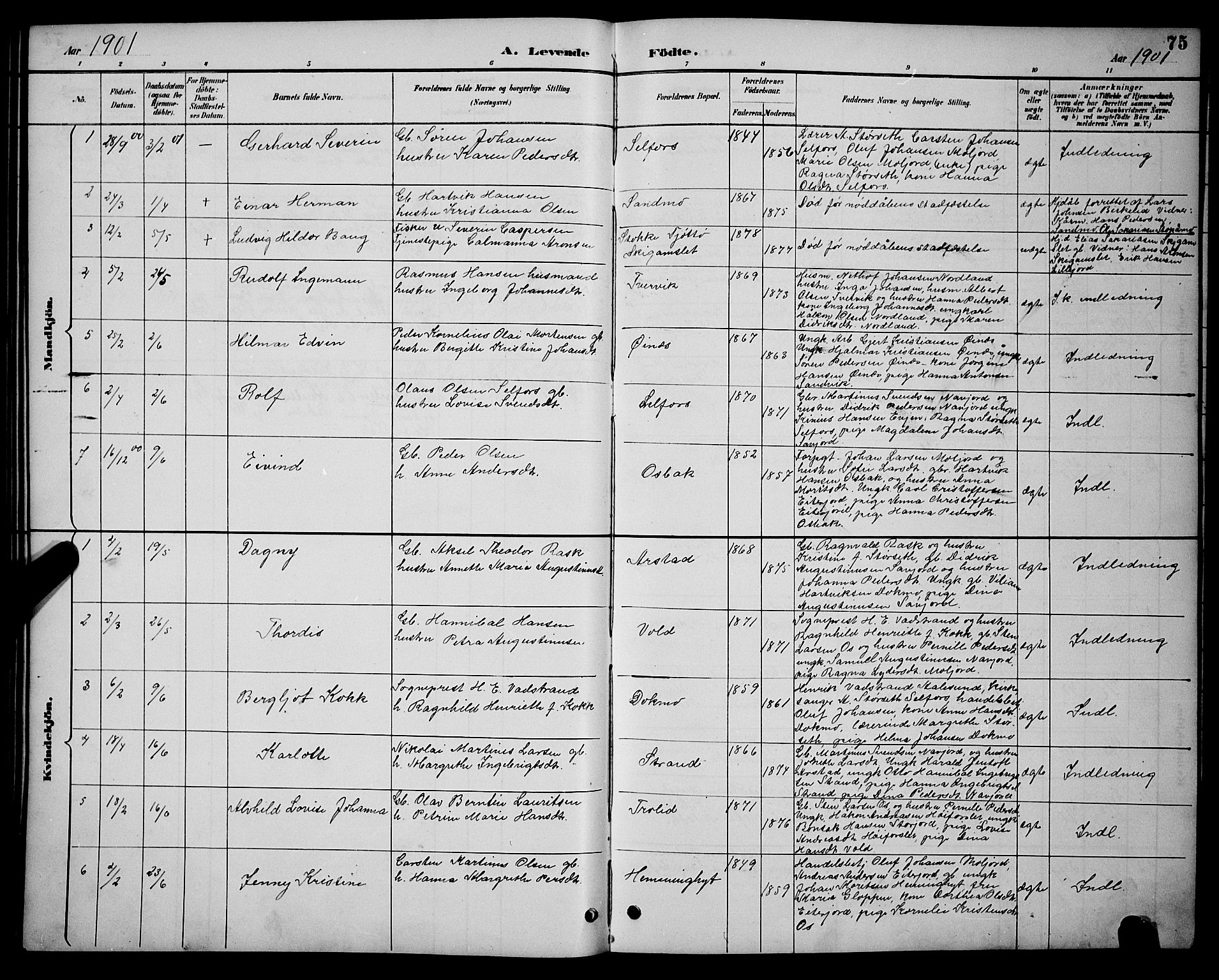 Ministerialprotokoller, klokkerbøker og fødselsregistre - Nordland, AV/SAT-A-1459/846/L0654: Parish register (copy) no. 846C04, 1887-1901, p. 75