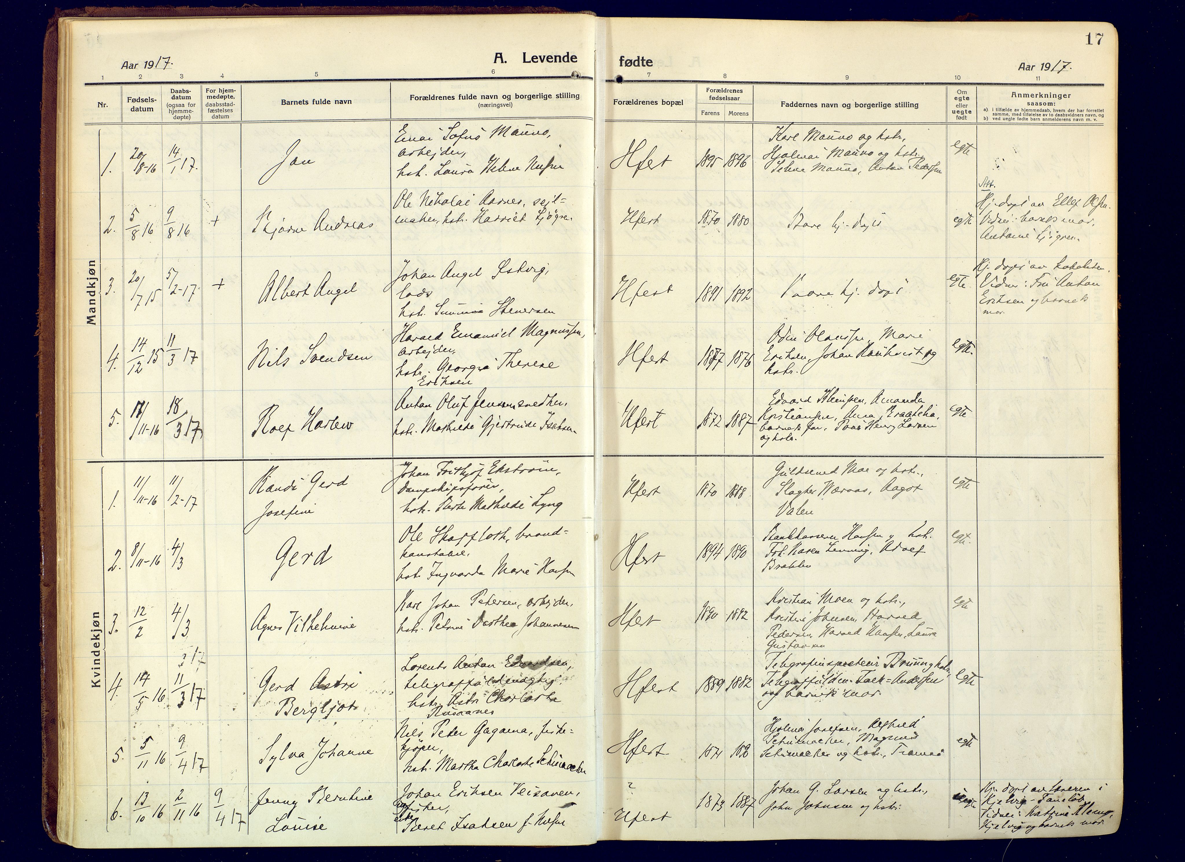 Hammerfest sokneprestkontor, AV/SATØ-S-1347/H/Ha/L0015.kirke: Parish register (official) no. 15, 1916-1923, p. 17