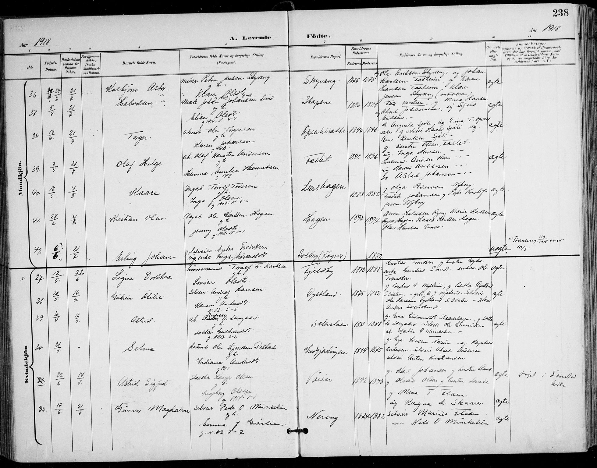 Nes prestekontor Kirkebøker, AV/SAO-A-10410/F/Fa/L0011: Parish register (official) no. I 11, 1899-1918, p. 238