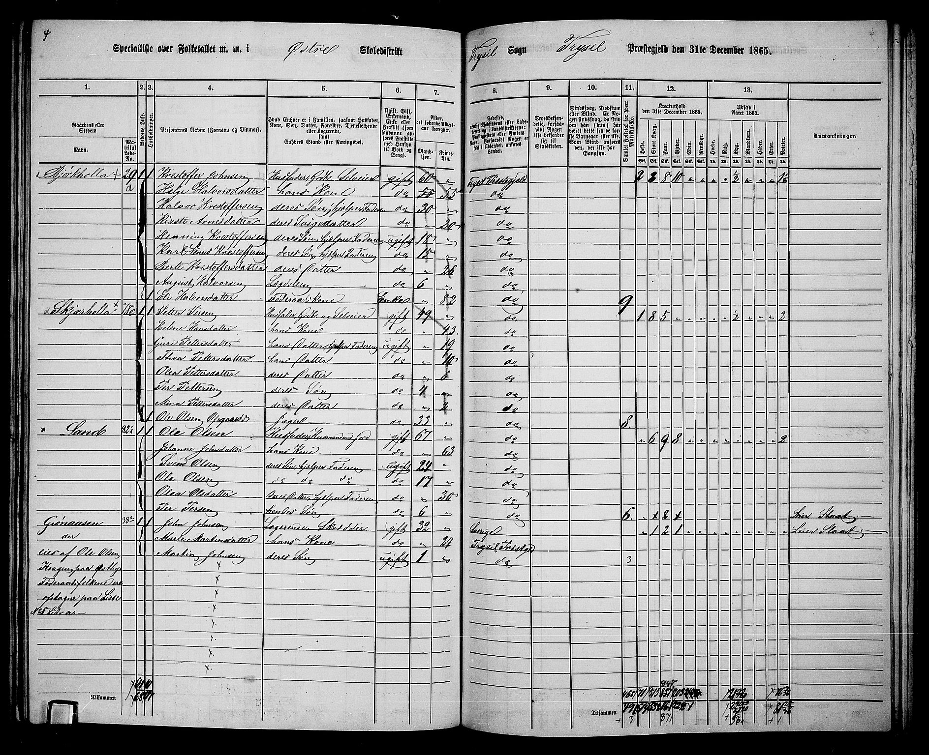 RA, 1865 census for Trysil, 1865, p. 144