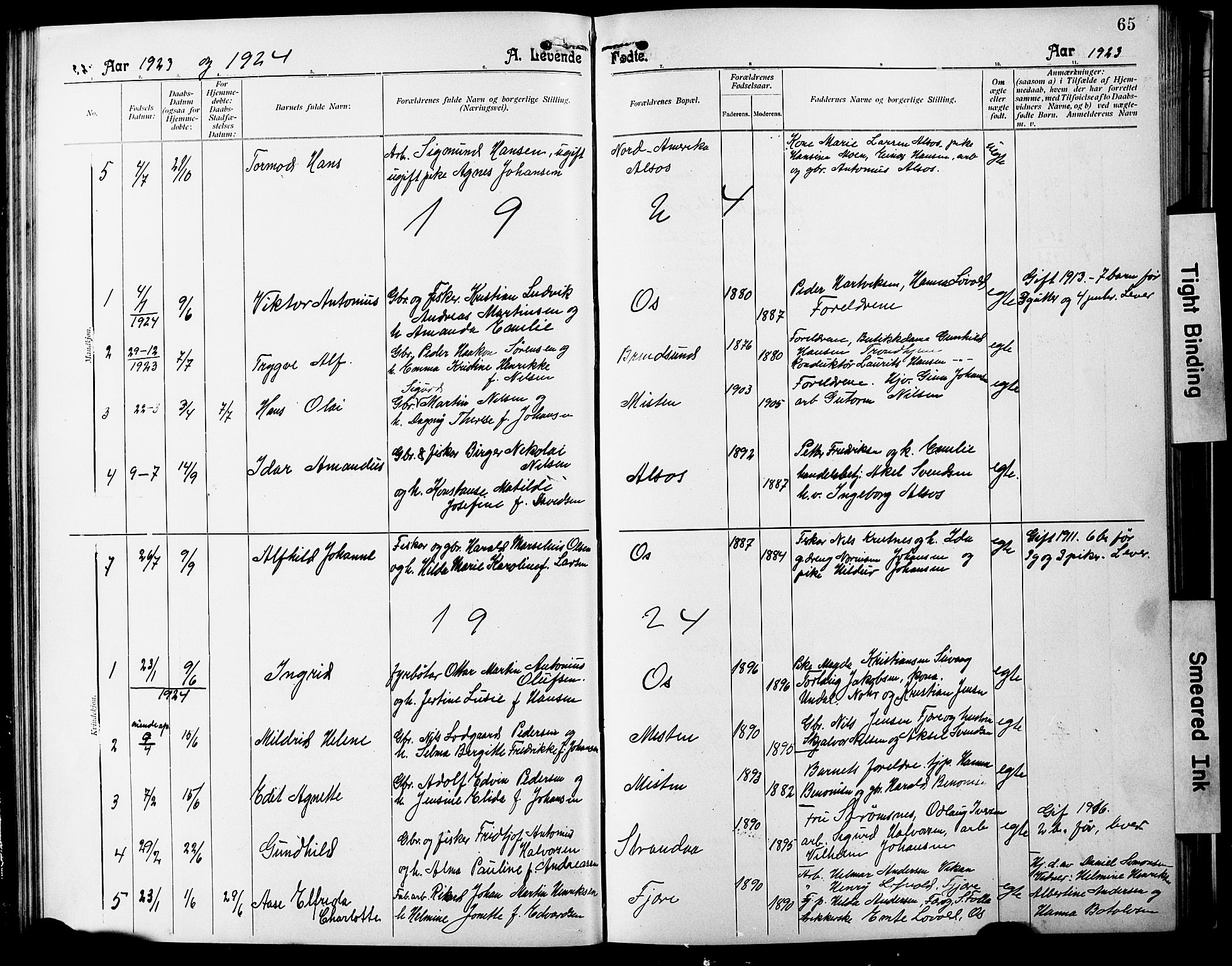 Ministerialprotokoller, klokkerbøker og fødselsregistre - Nordland, SAT/A-1459/803/L0077: Parish register (copy) no. 803C04, 1897-1930, p. 65