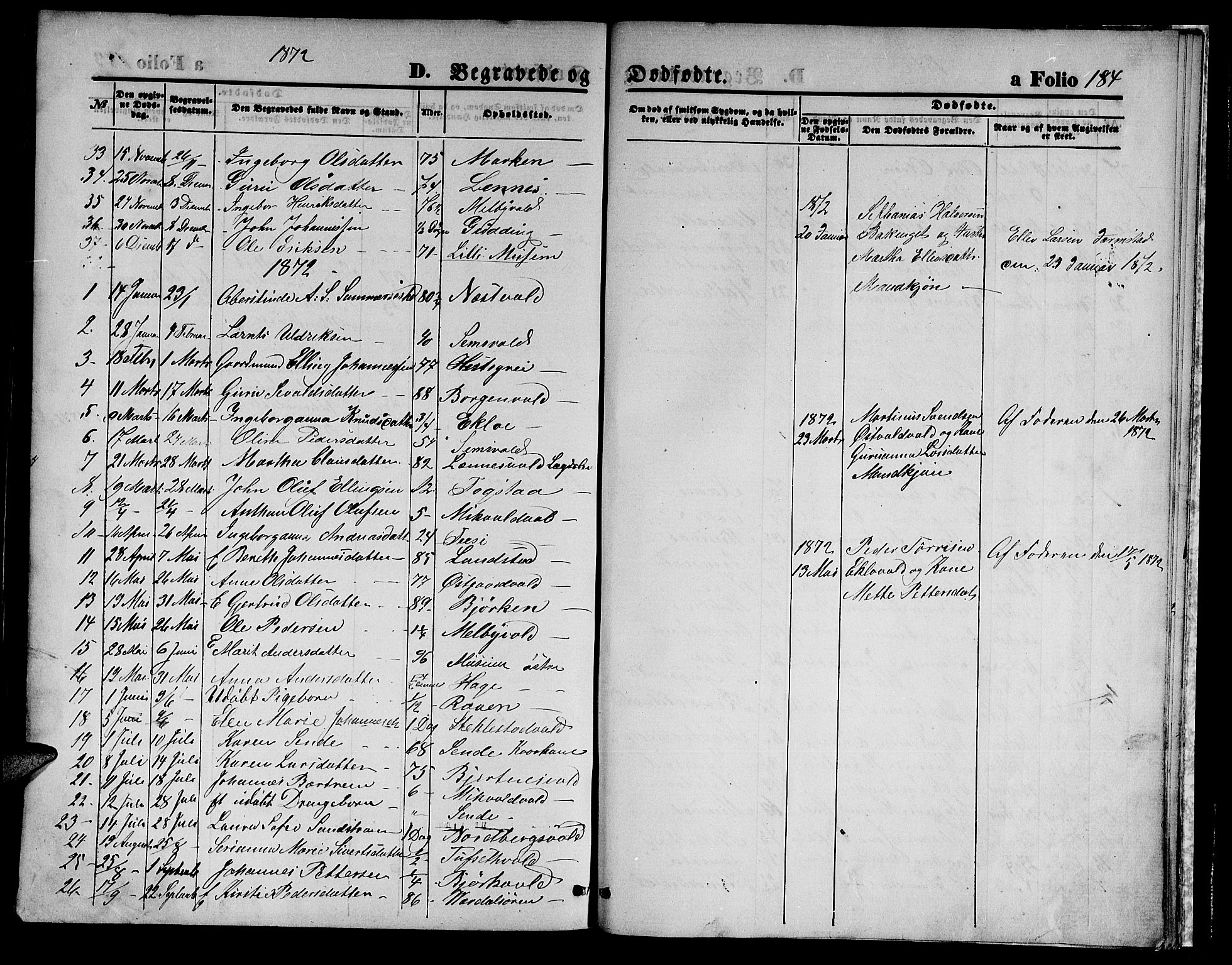Ministerialprotokoller, klokkerbøker og fødselsregistre - Nord-Trøndelag, SAT/A-1458/723/L0255: Parish register (copy) no. 723C03, 1869-1879, p. 184
