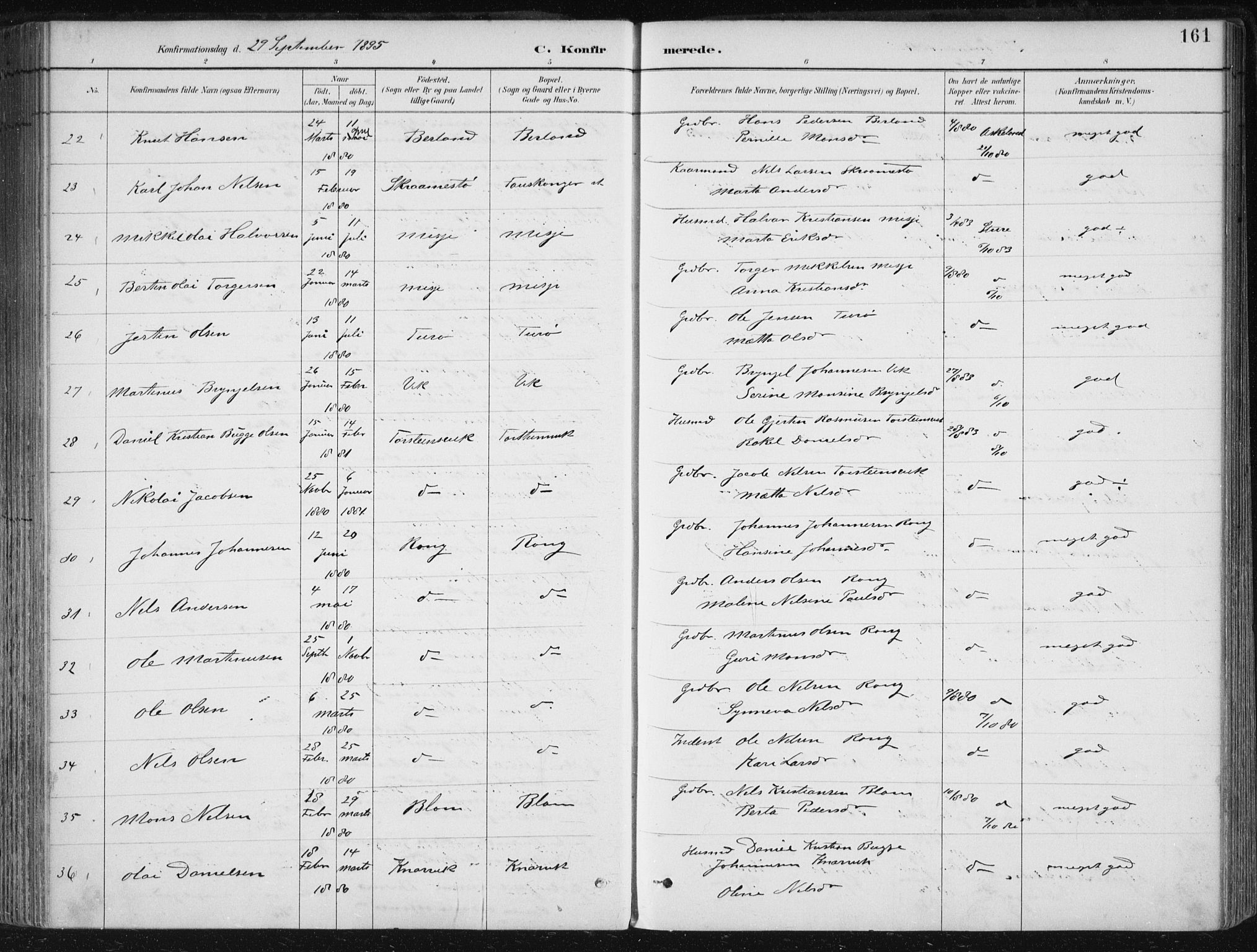Herdla Sokneprestembete, SAB/A-75701/H/Haa: Parish register (official) no. A 4, 1891-1905, p. 161