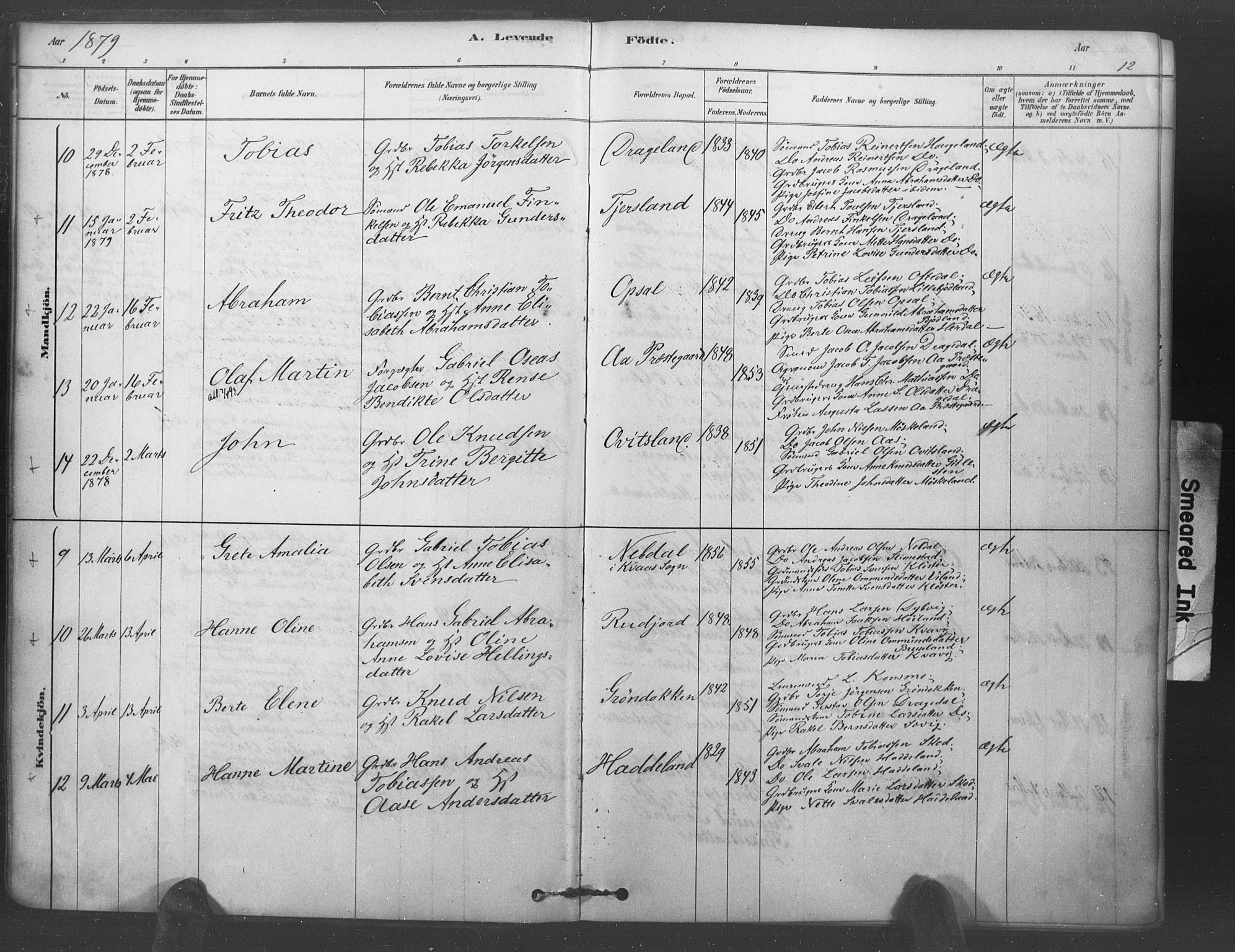 Lyngdal sokneprestkontor, AV/SAK-1111-0029/F/Fa/Fac/L0011: Parish register (official) no. A 11, 1878-1893, p. 12