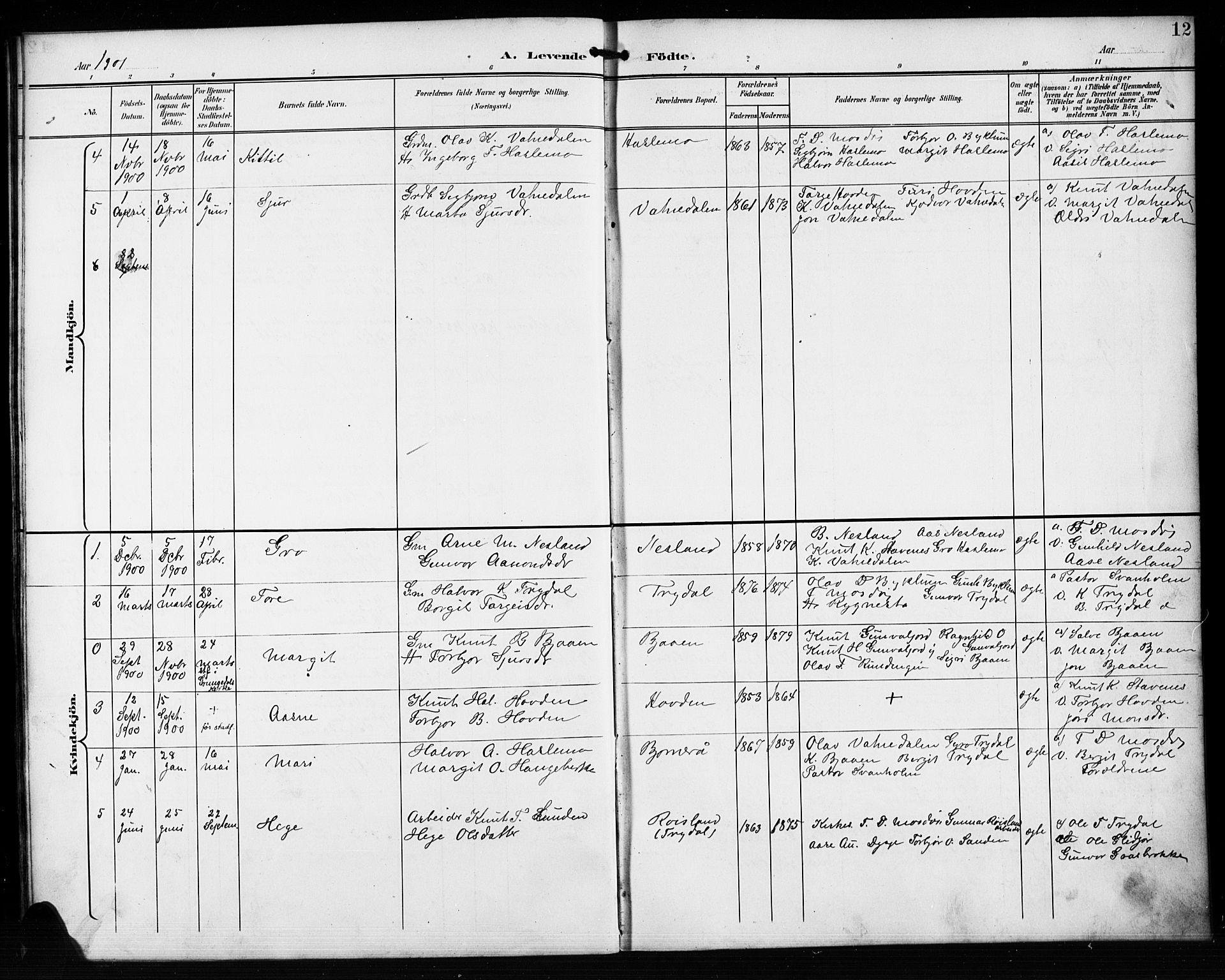 Valle sokneprestkontor, AV/SAK-1111-0044/F/Fb/Fba/L0003: Parish register (copy) no. B 3, 1895-1916, p. 12