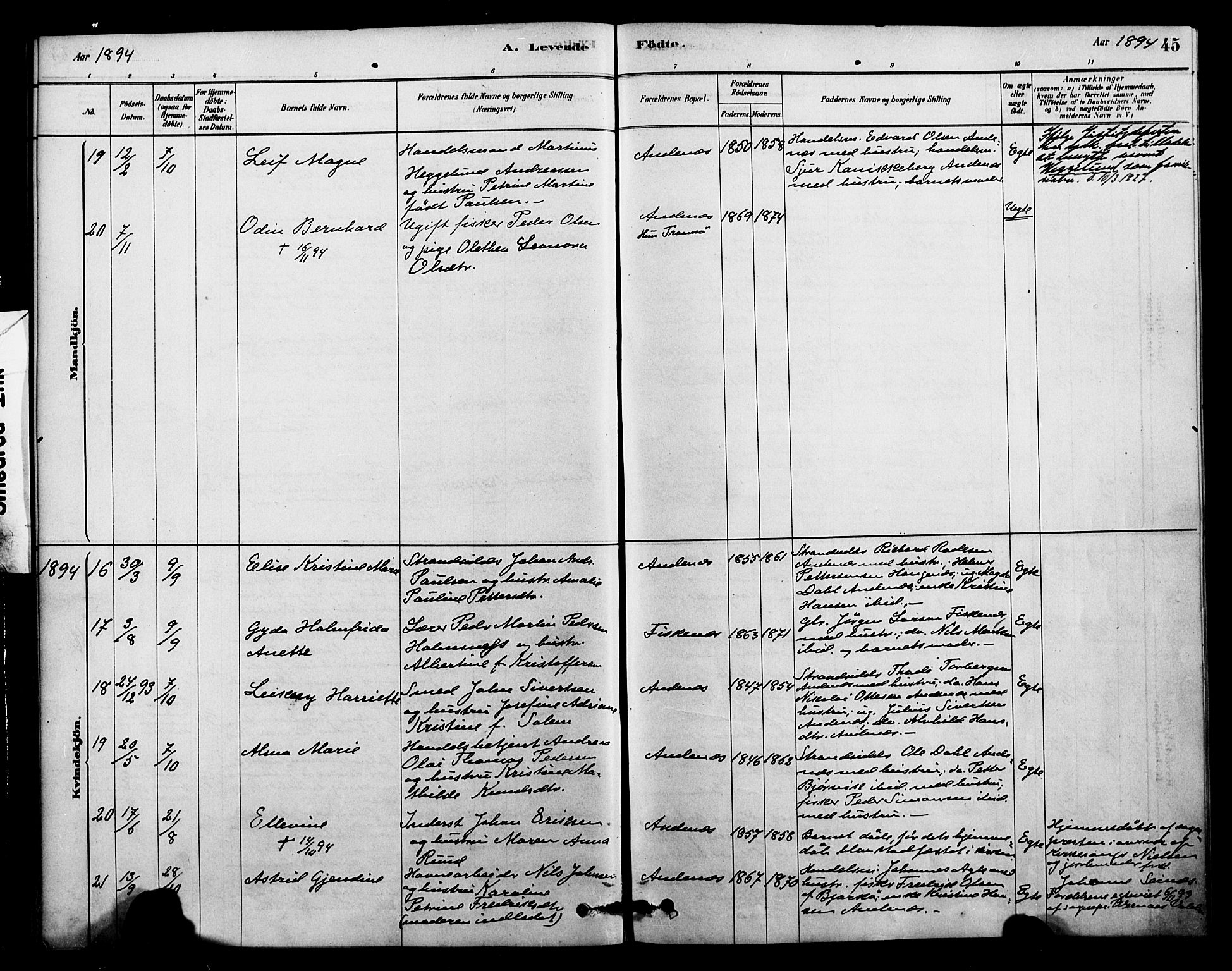 Ministerialprotokoller, klokkerbøker og fødselsregistre - Nordland, AV/SAT-A-1459/899/L1436: Parish register (official) no. 899A04, 1881-1896, p. 45