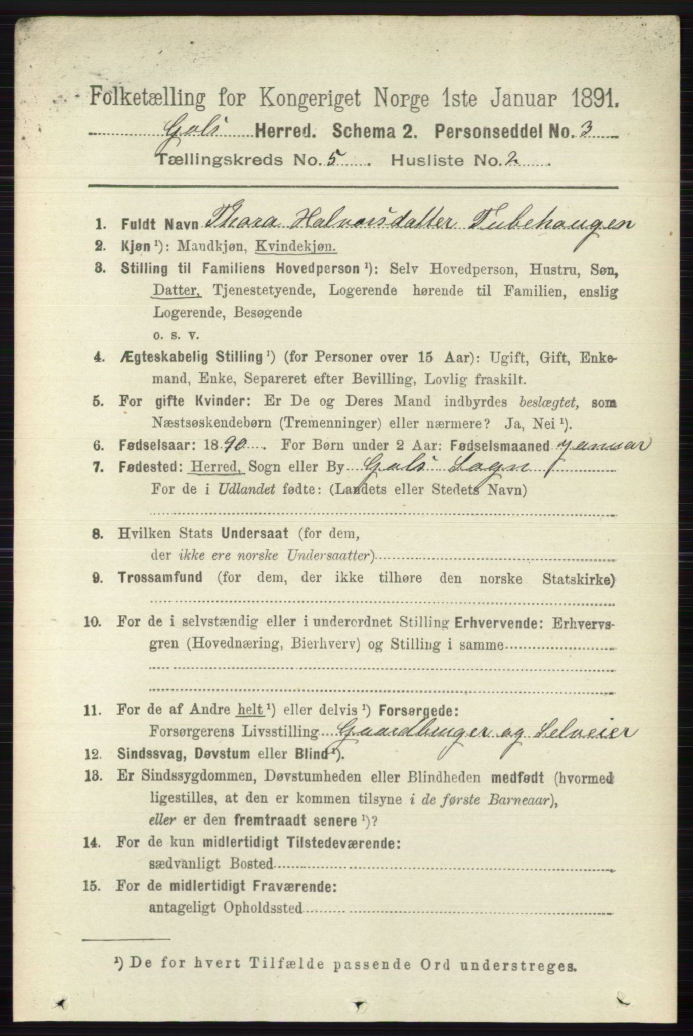 RA, 1891 census for 0617 Gol og Hemsedal, 1891, p. 2314