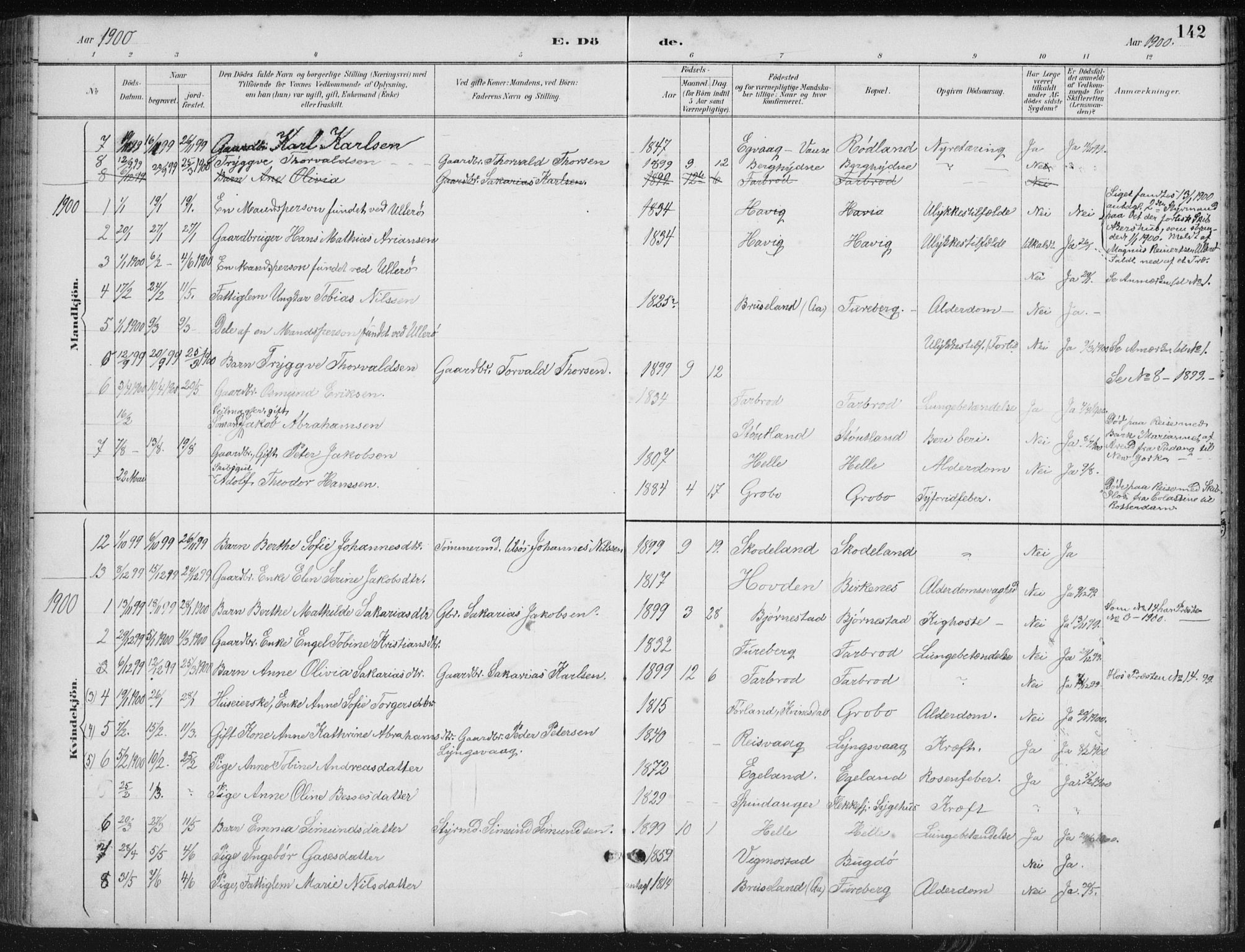 Herad sokneprestkontor, SAK/1111-0018/F/Fb/Fbb/L0004: Parish register (copy) no. B 4, 1890-1935, p. 142