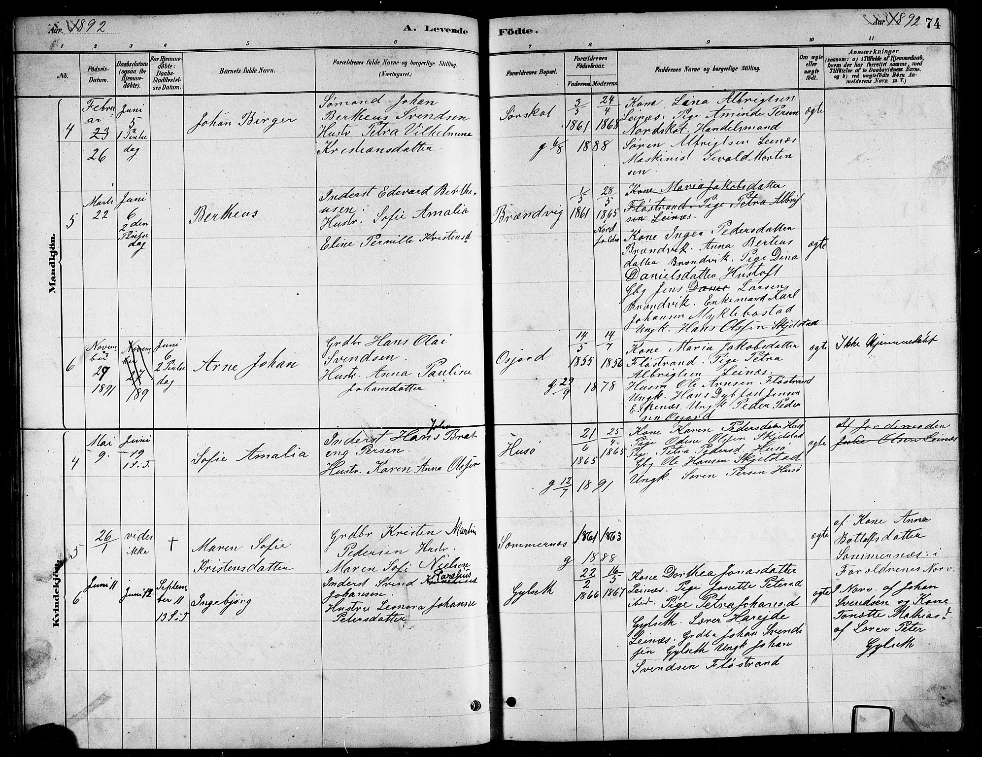 Ministerialprotokoller, klokkerbøker og fødselsregistre - Nordland, AV/SAT-A-1459/857/L0828: Parish register (copy) no. 857C03, 1879-1908, p. 74