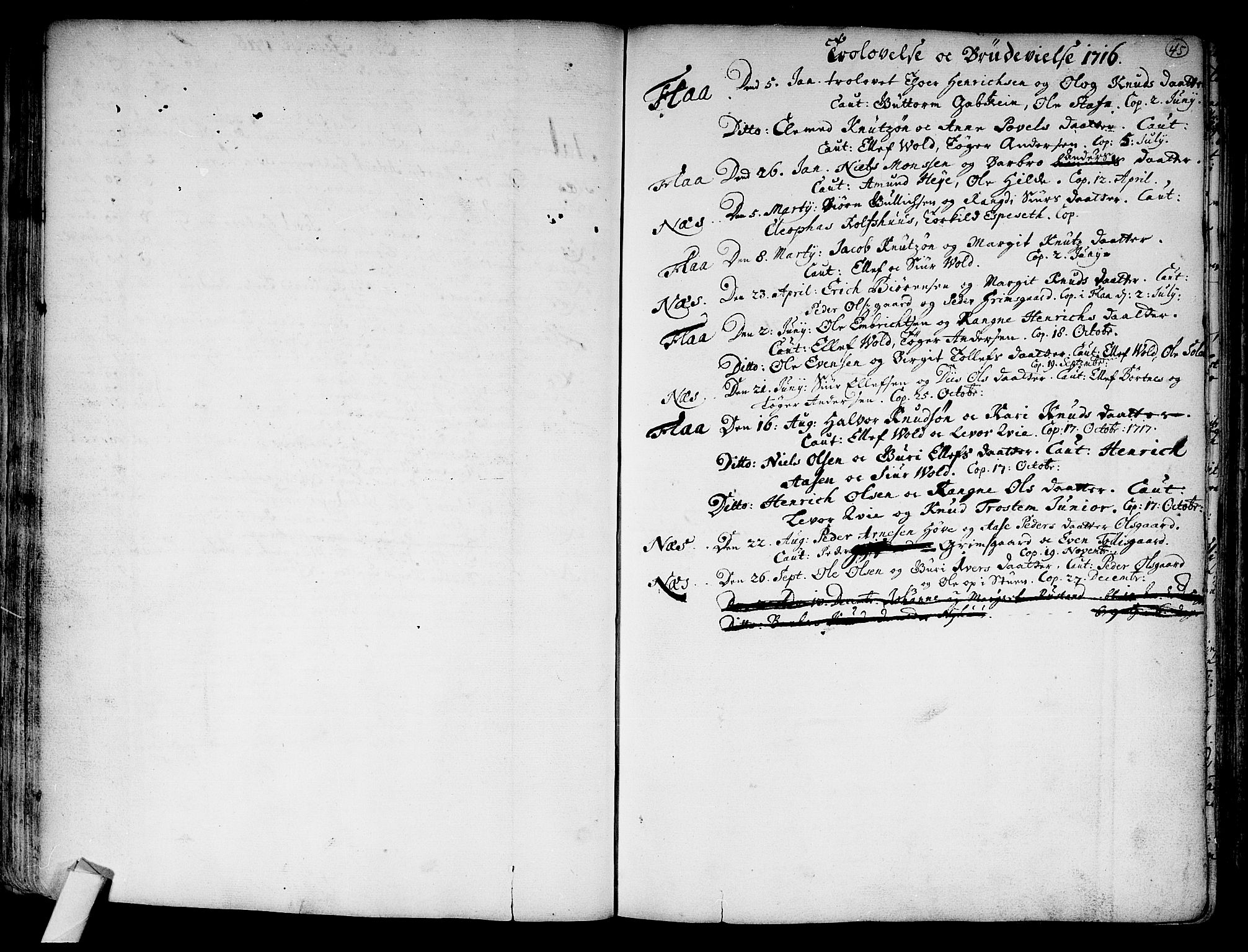 Nes kirkebøker, SAKO/A-236/F/Fa/L0002: Parish register (official) no. 2, 1707-1759, p. 45