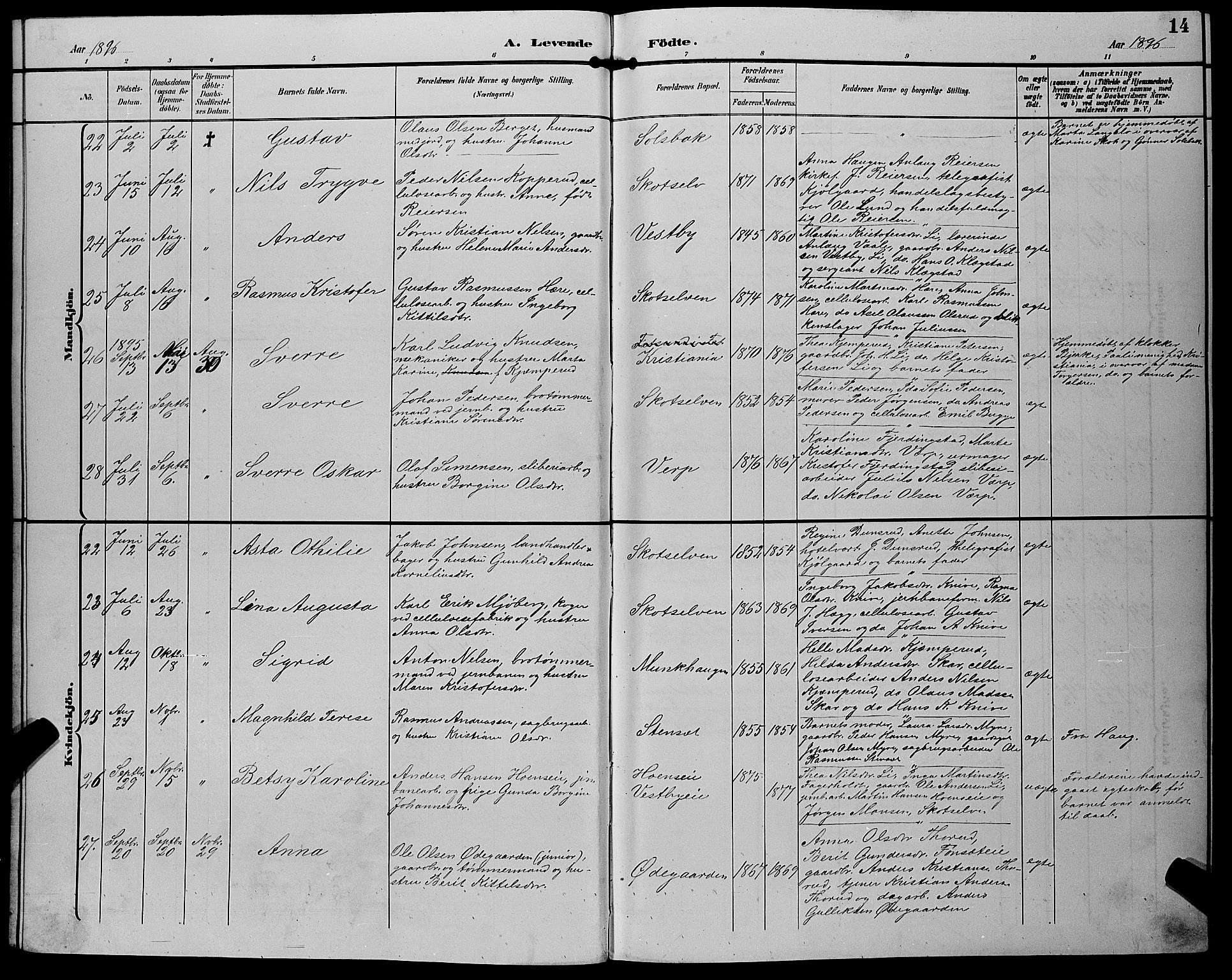 Eiker kirkebøker, AV/SAKO-A-4/G/Gb/L0004: Parish register (copy) no. II 4, 1894-1900, p. 14