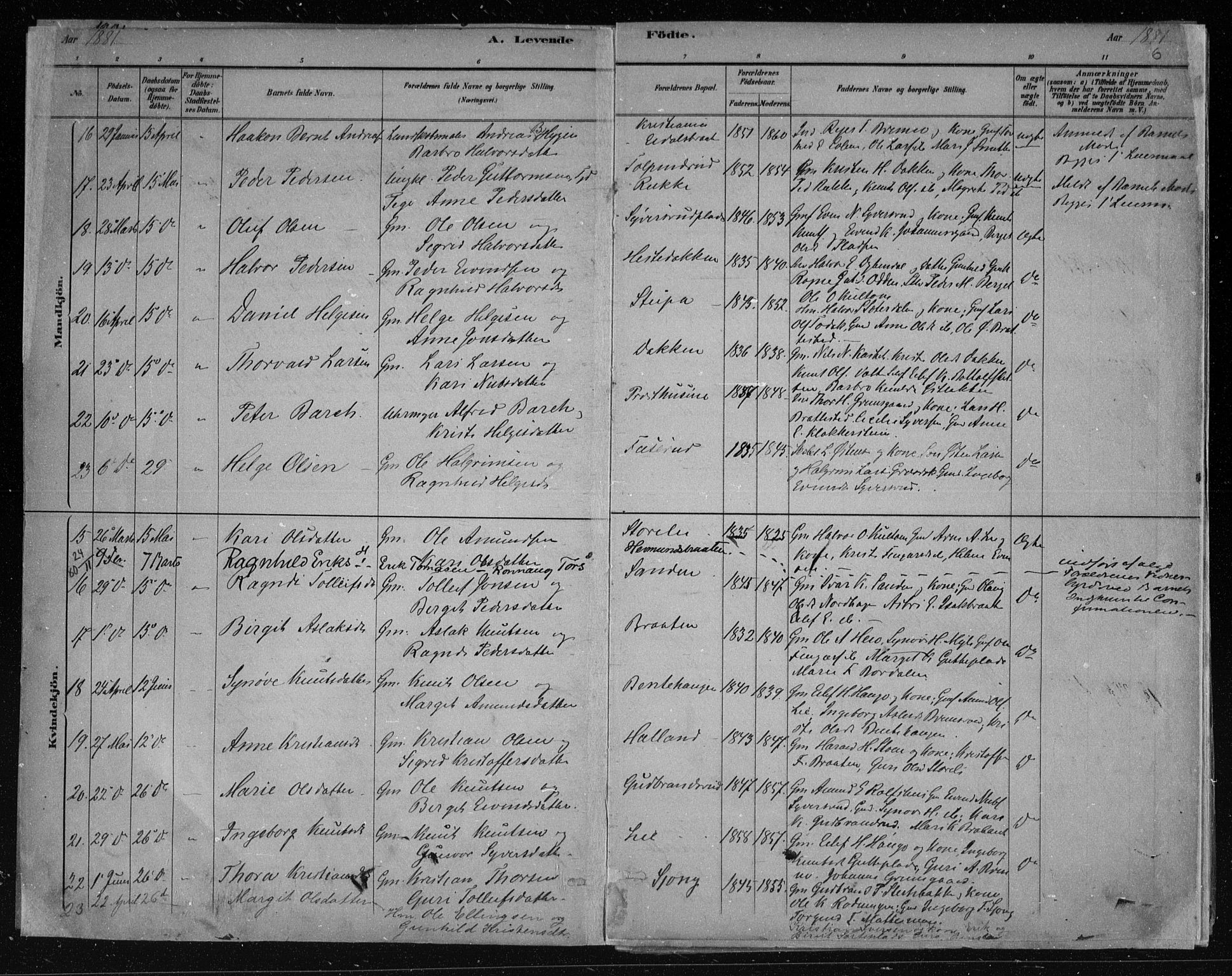 Nes kirkebøker, AV/SAKO-A-236/F/Fa/L0011: Parish register (official) no. 11, 1881-1912, p. 6