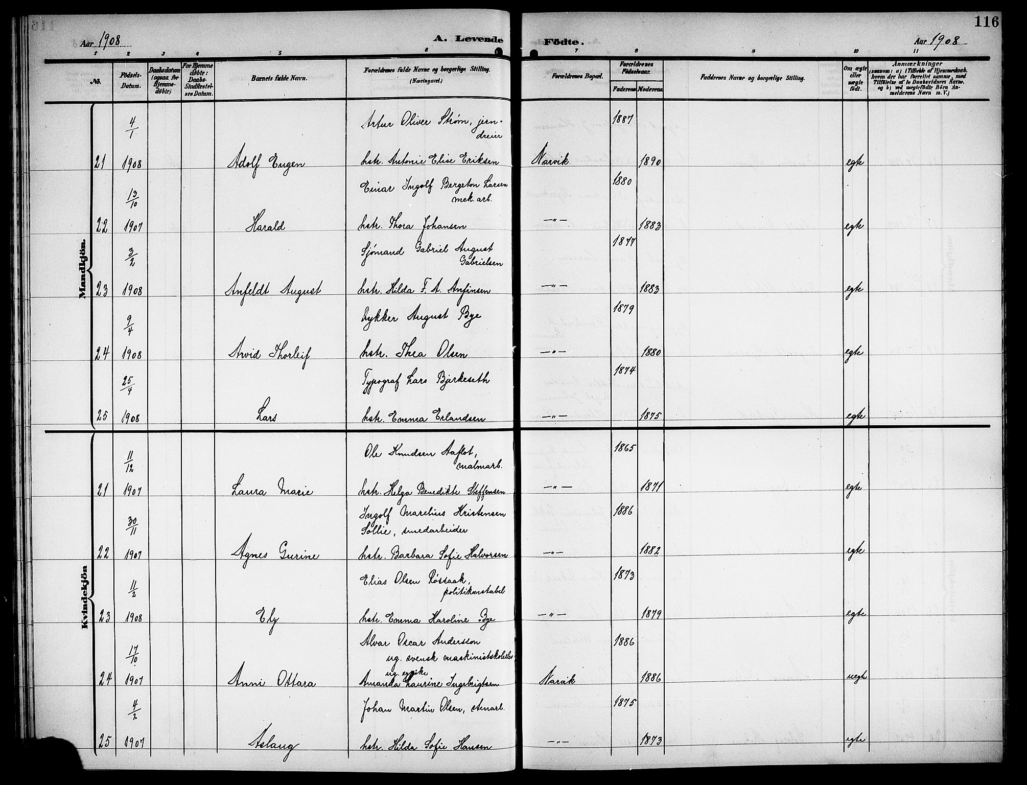 Ministerialprotokoller, klokkerbøker og fødselsregistre - Nordland, AV/SAT-A-1459/871/L1012: Parish register (copy) no. 871C01, 1902-1909, p. 116