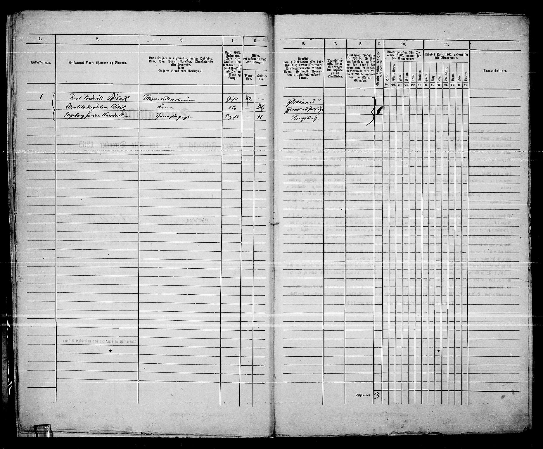 RA, 1865 census for Kongsberg/Kongsberg, 1865, p. 16