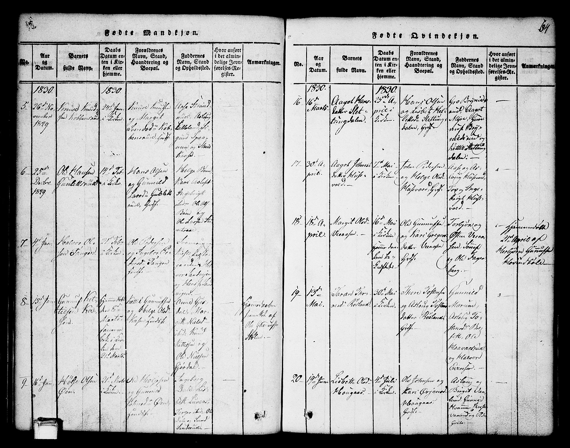 Tinn kirkebøker, AV/SAKO-A-308/G/Ga/L0001: Parish register (copy) no. I 1, 1815-1850, p. 64